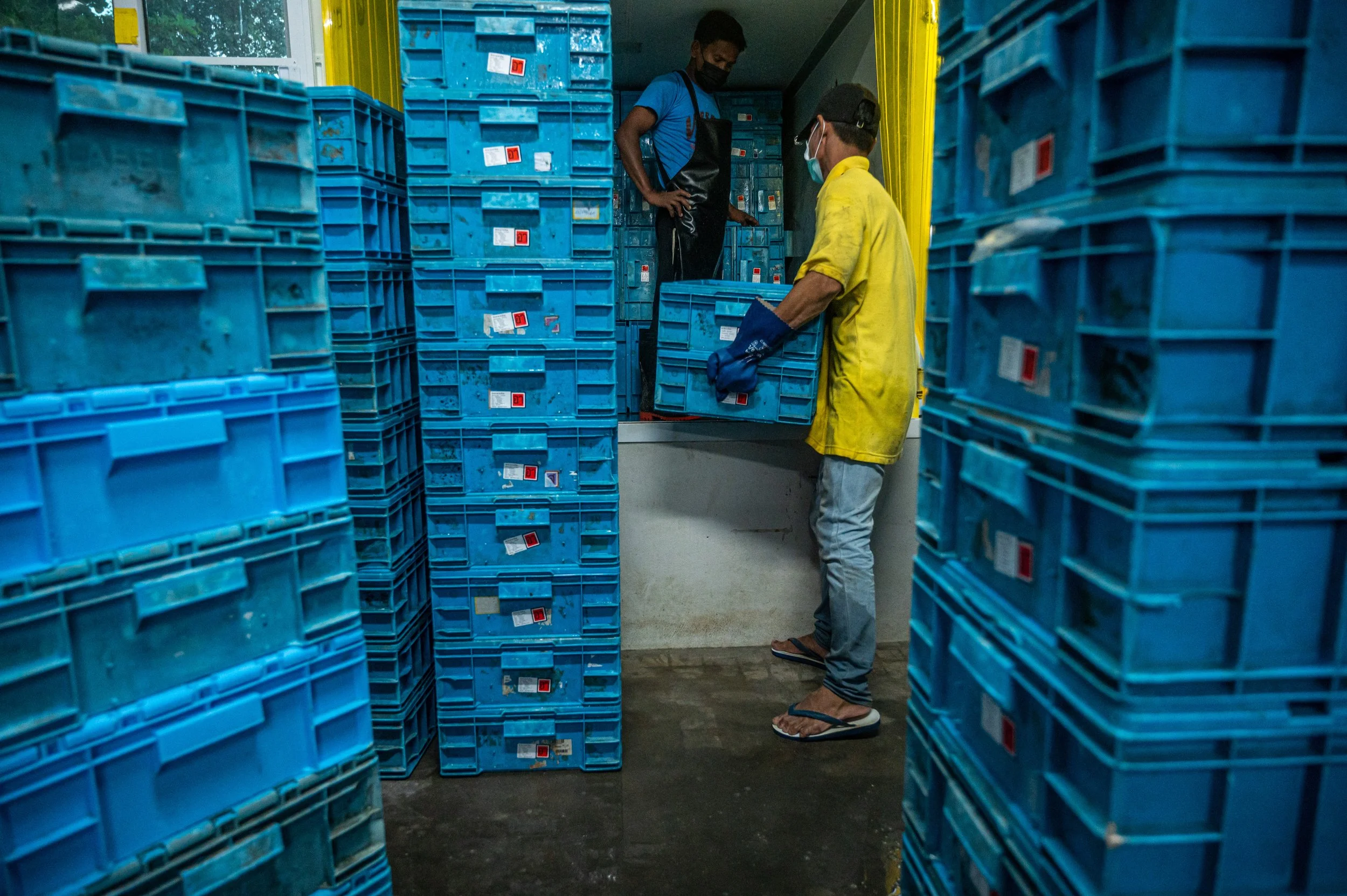 fish farm thailand-243.jpg
