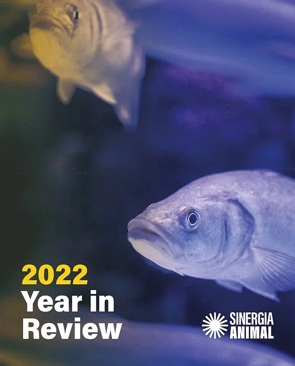 Two fish swimming in an aquarium, one in the foreground and another in the background, with text on the image reading '2022 Year in Review' and the logo of Sinergia Animal.