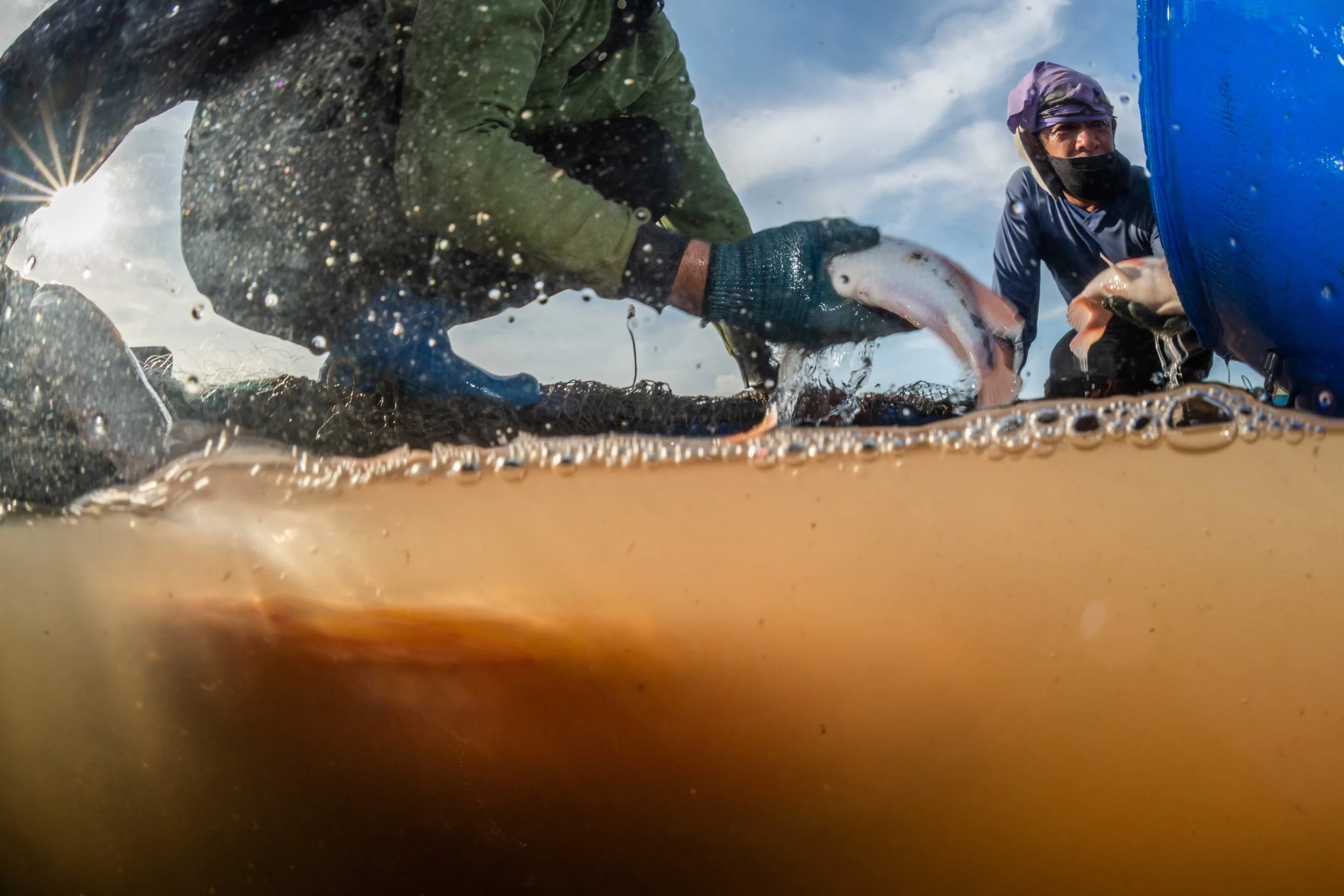 fish farm thailand-6.jpg