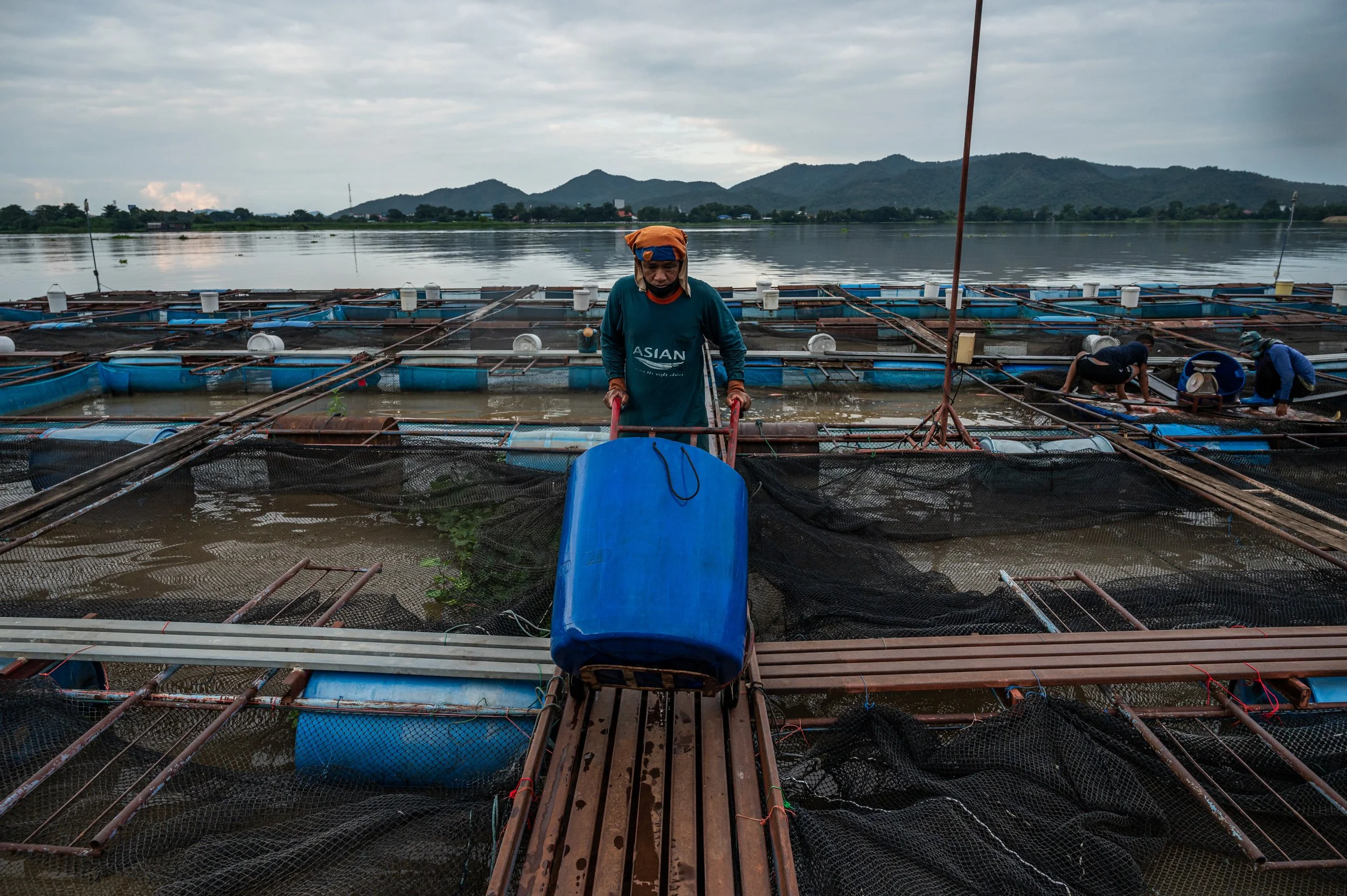 fish farm thailand-229.jpg