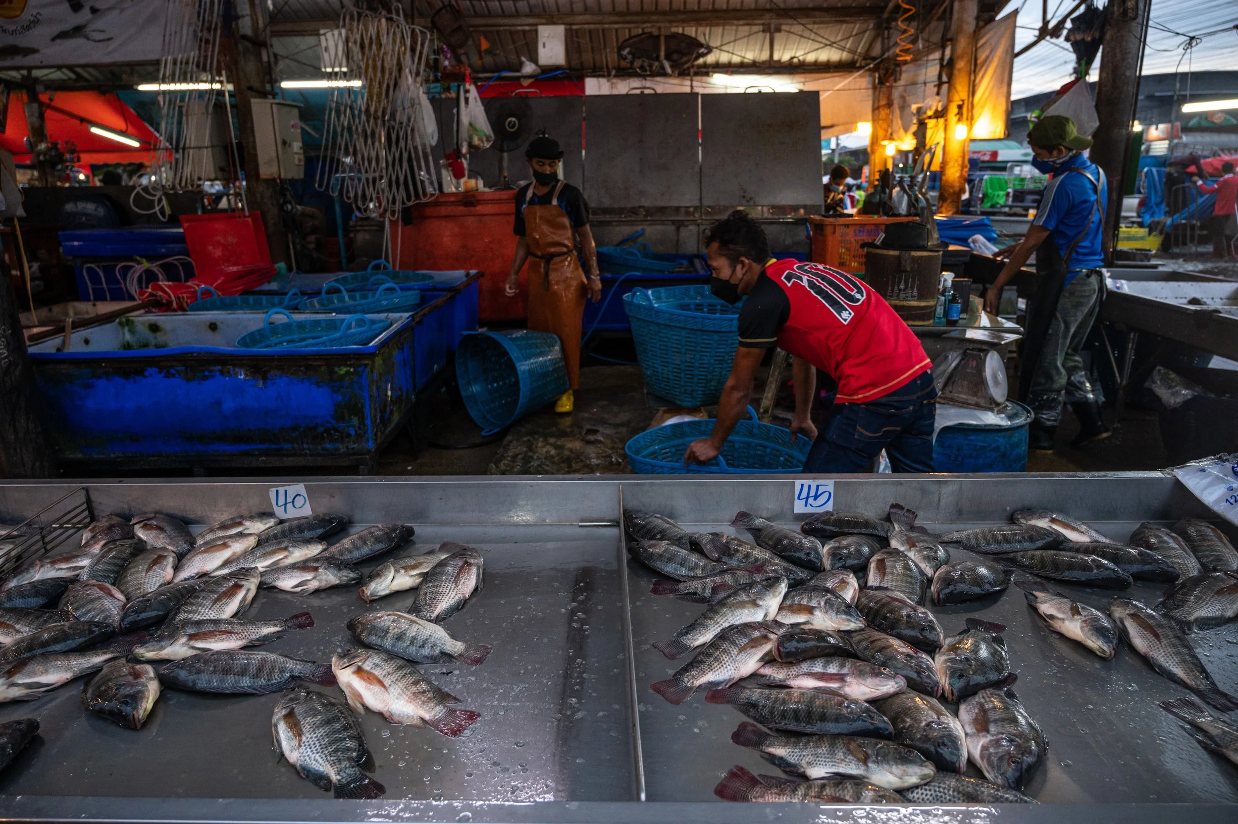 fish farm thailand-139.jpg