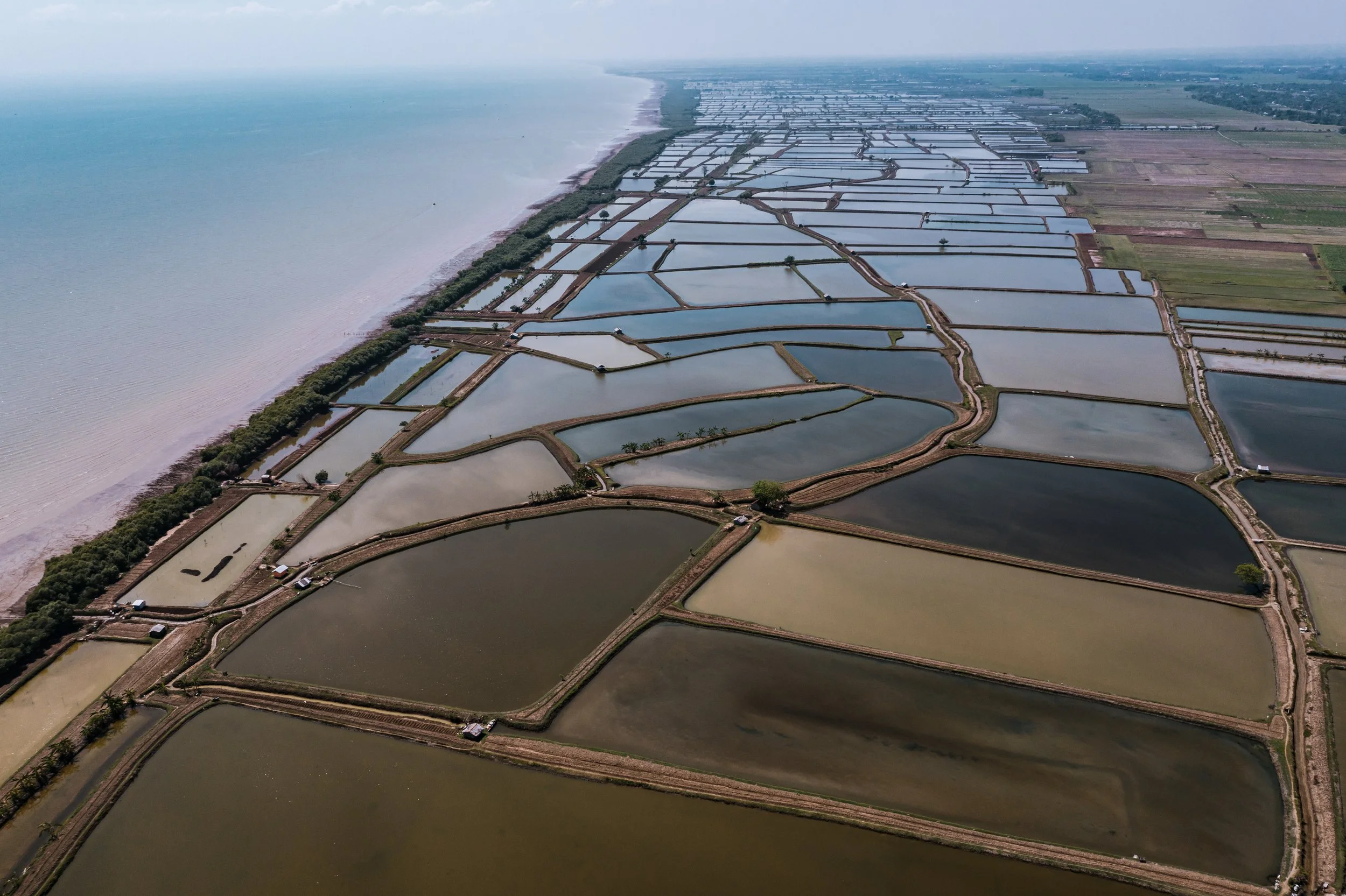 fish farm indonesia-58.jpg