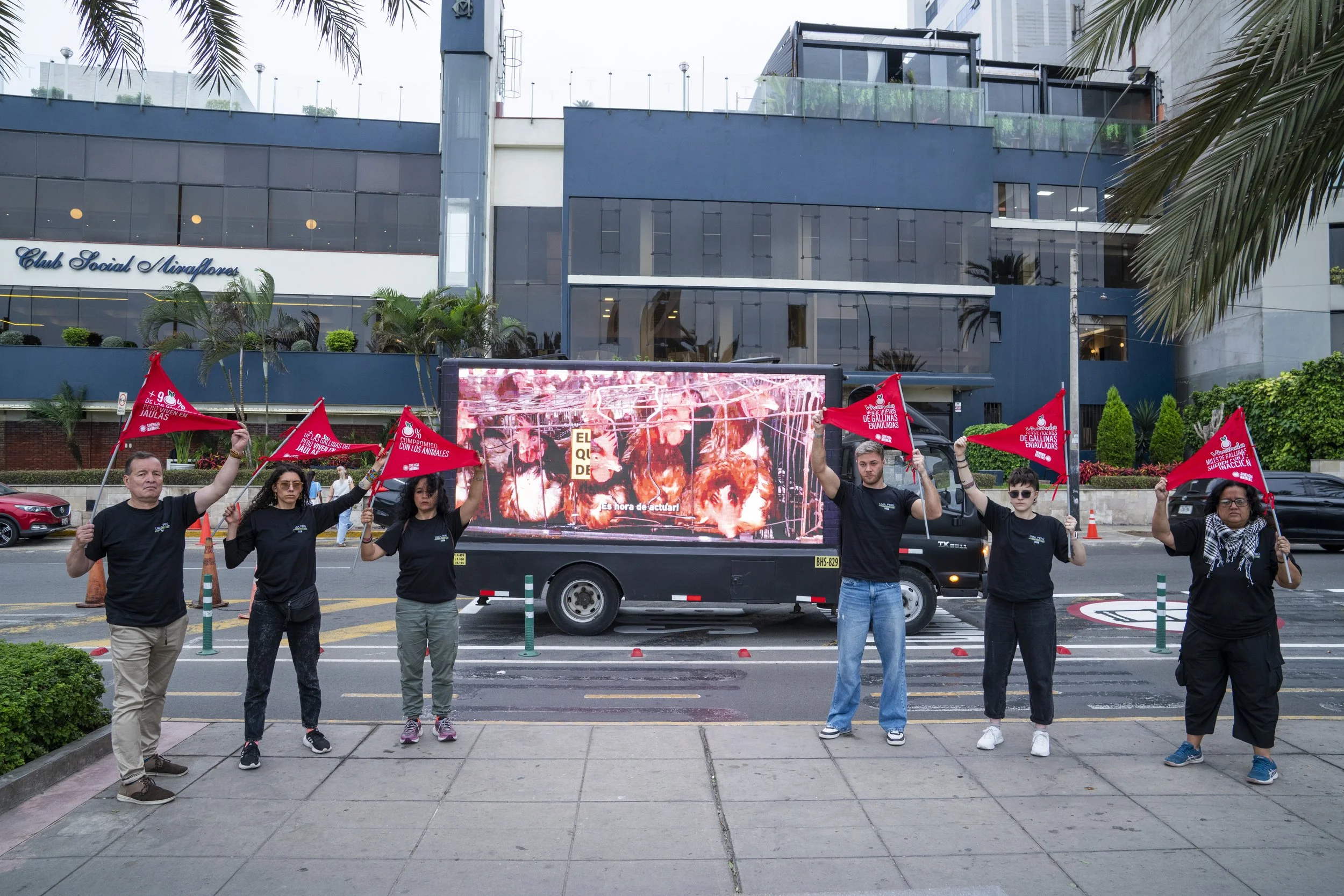 Six activists standing side by side on a street paved with cobblestones, raising red flags and holding a large banner reading "Vivanda, sin cages" during a public demonstration in Lima, Peru.