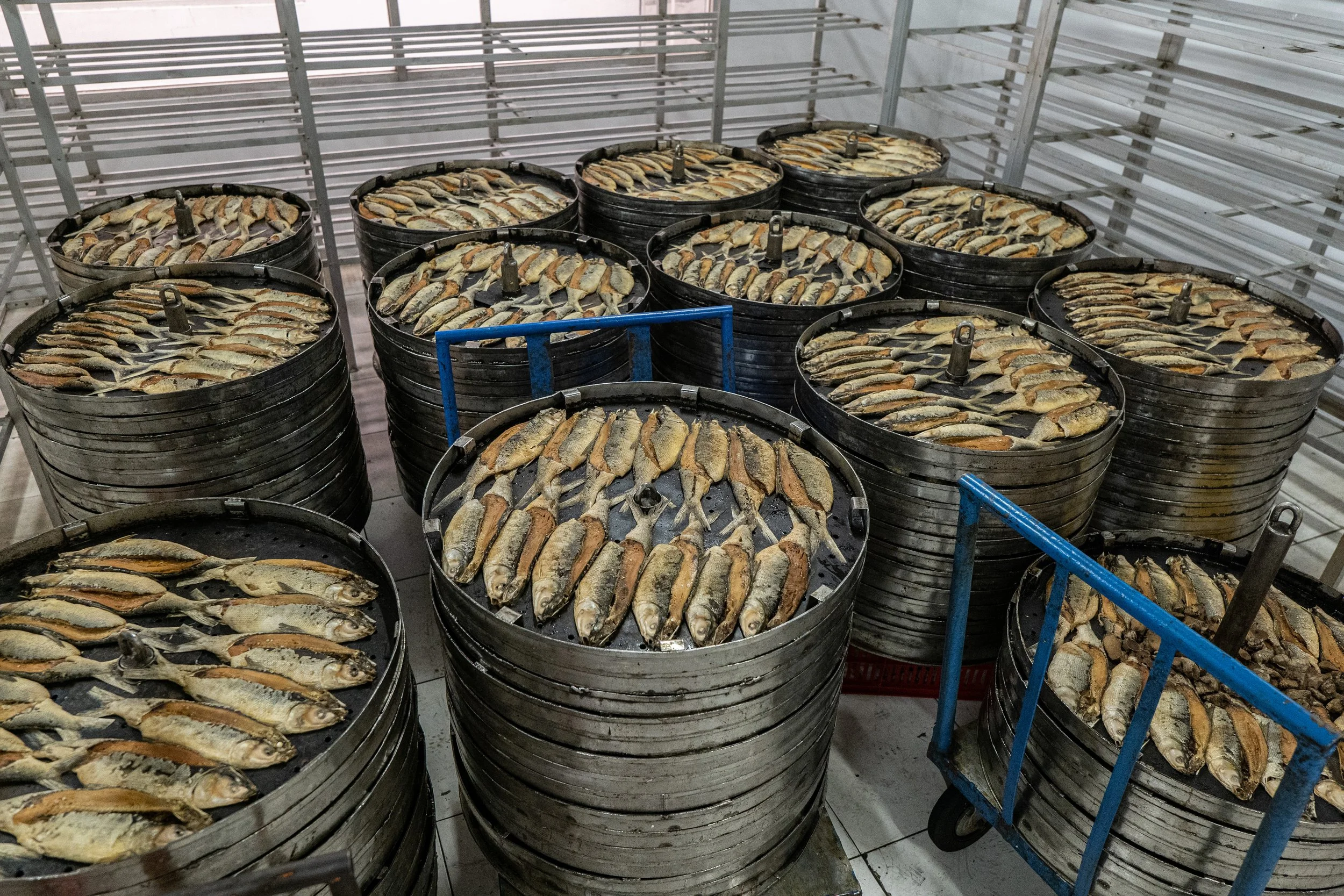 fish farm indonesia-10.jpg