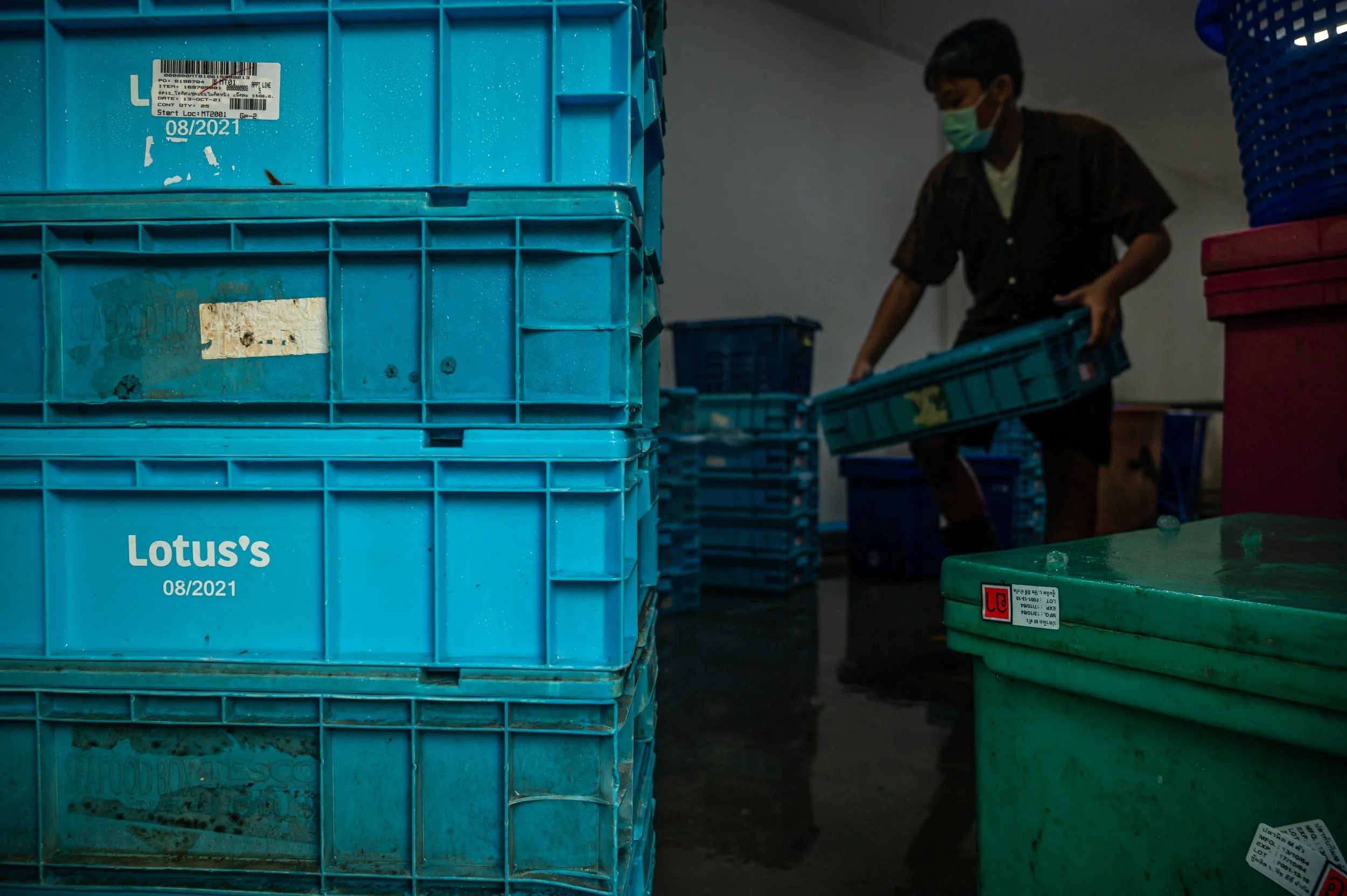 fish farm thailand-190.jpg