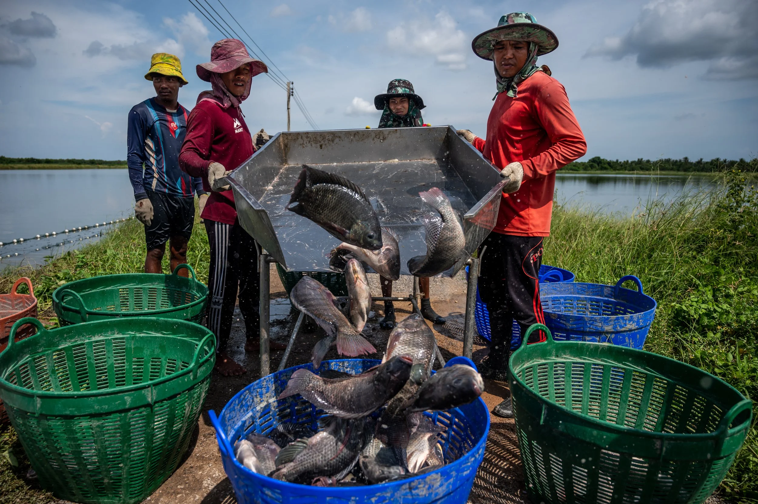 fish farm thailand-149.jpg