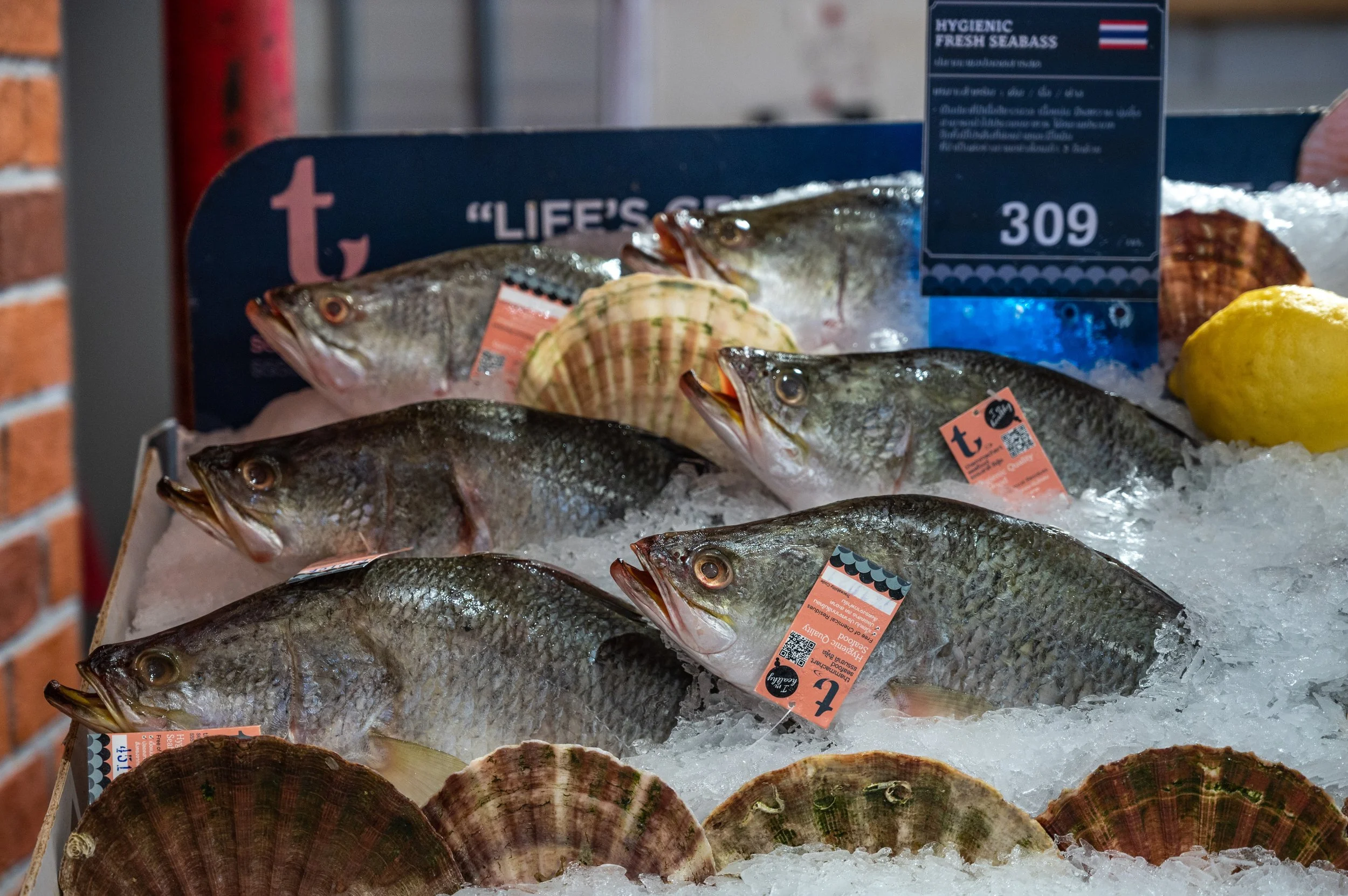 fish farm thailand-248.jpg