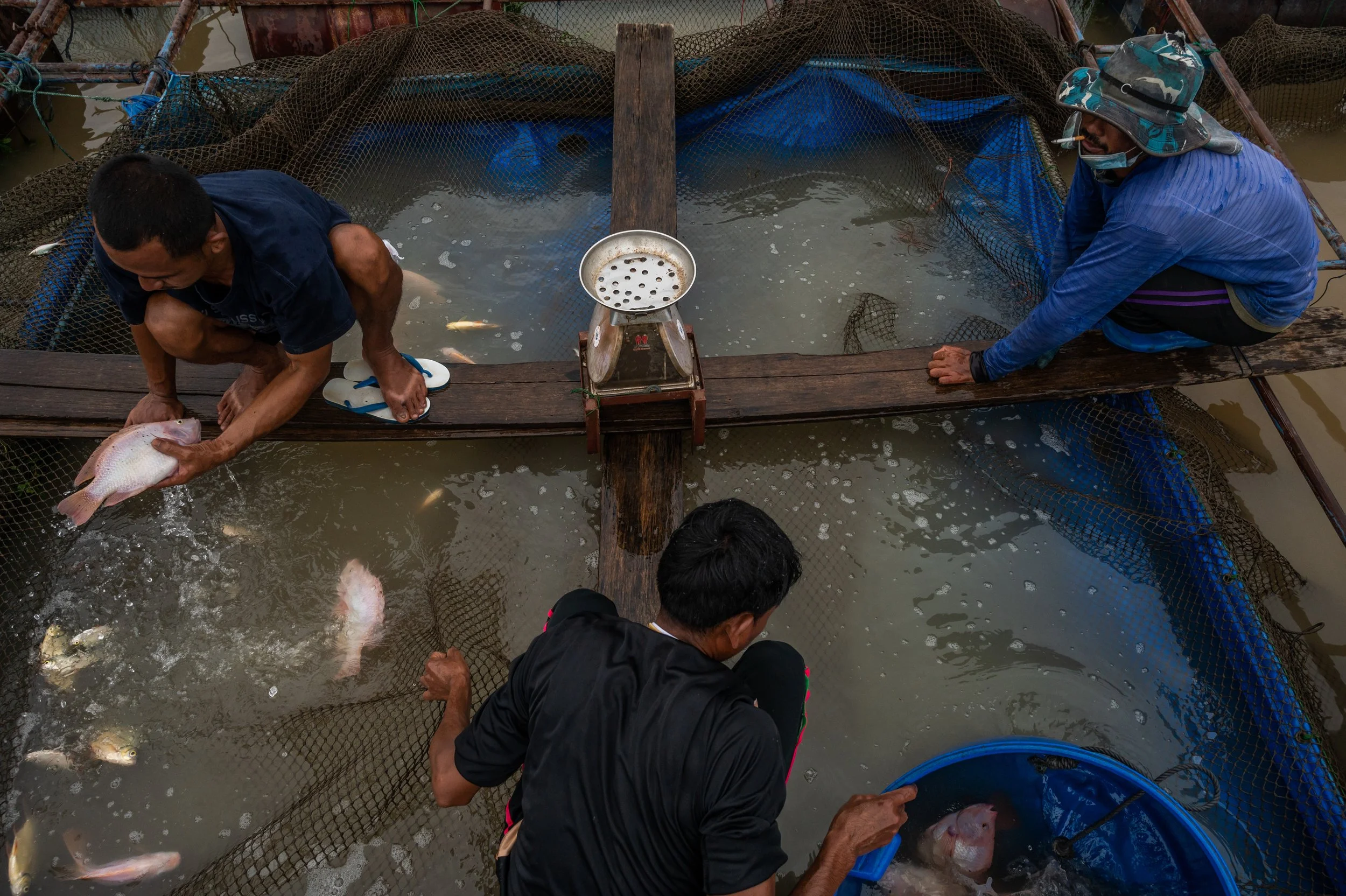 fish farm thailand-215.jpg