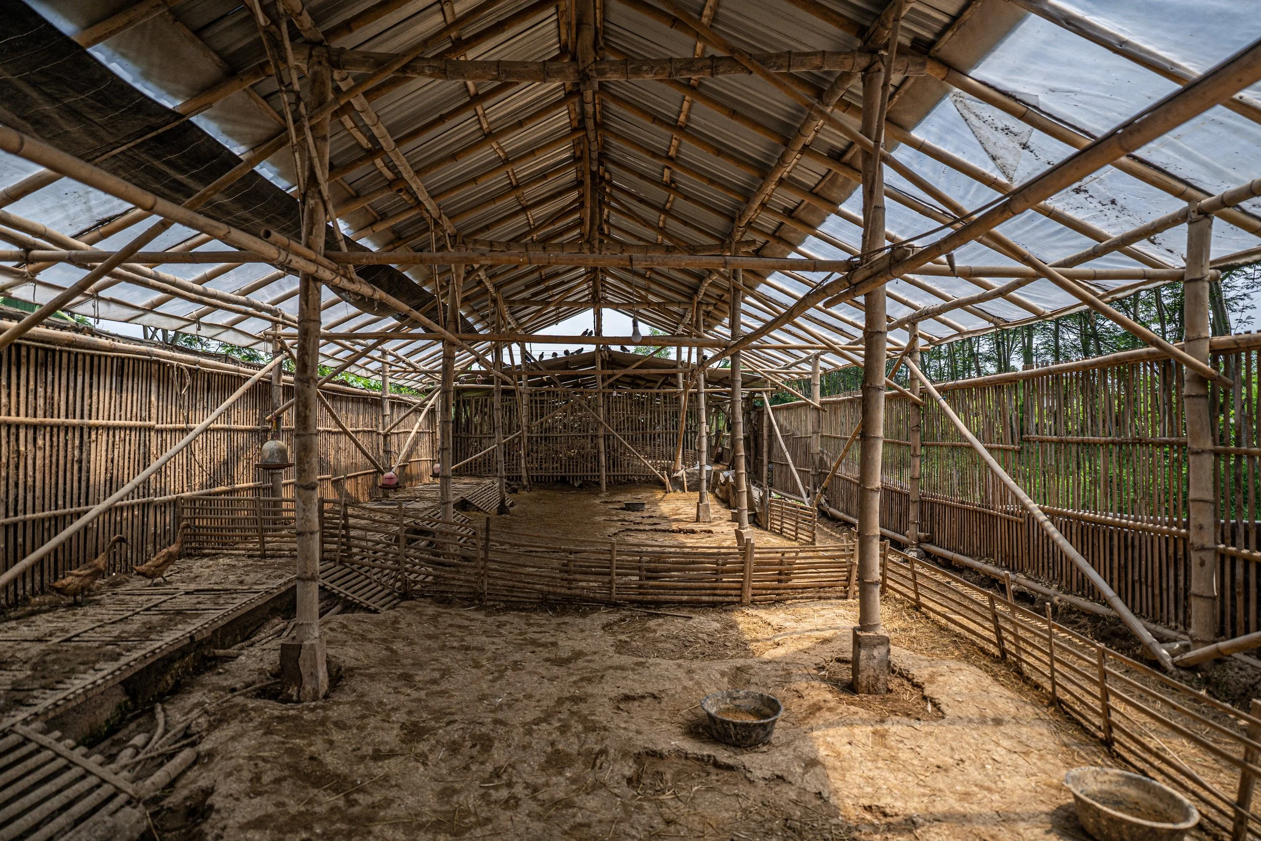 duck farm indonesia-159.jpg