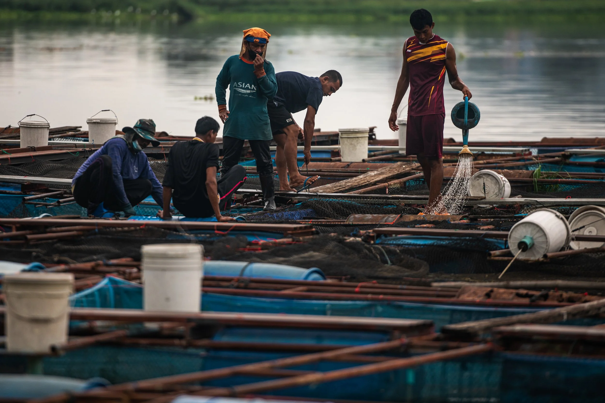 fish farm thailand-18.jpg