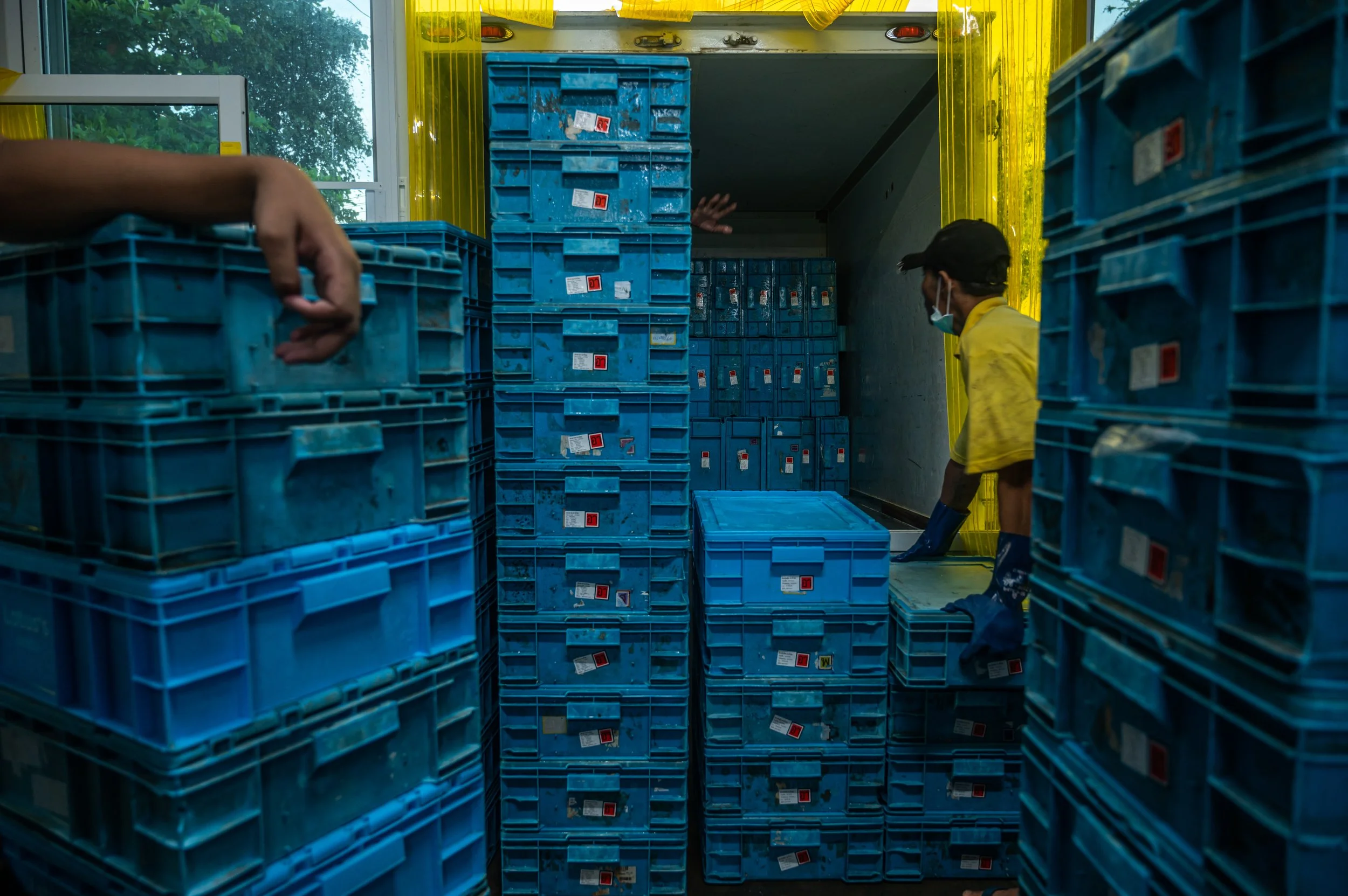 fish farm thailand-145.jpg