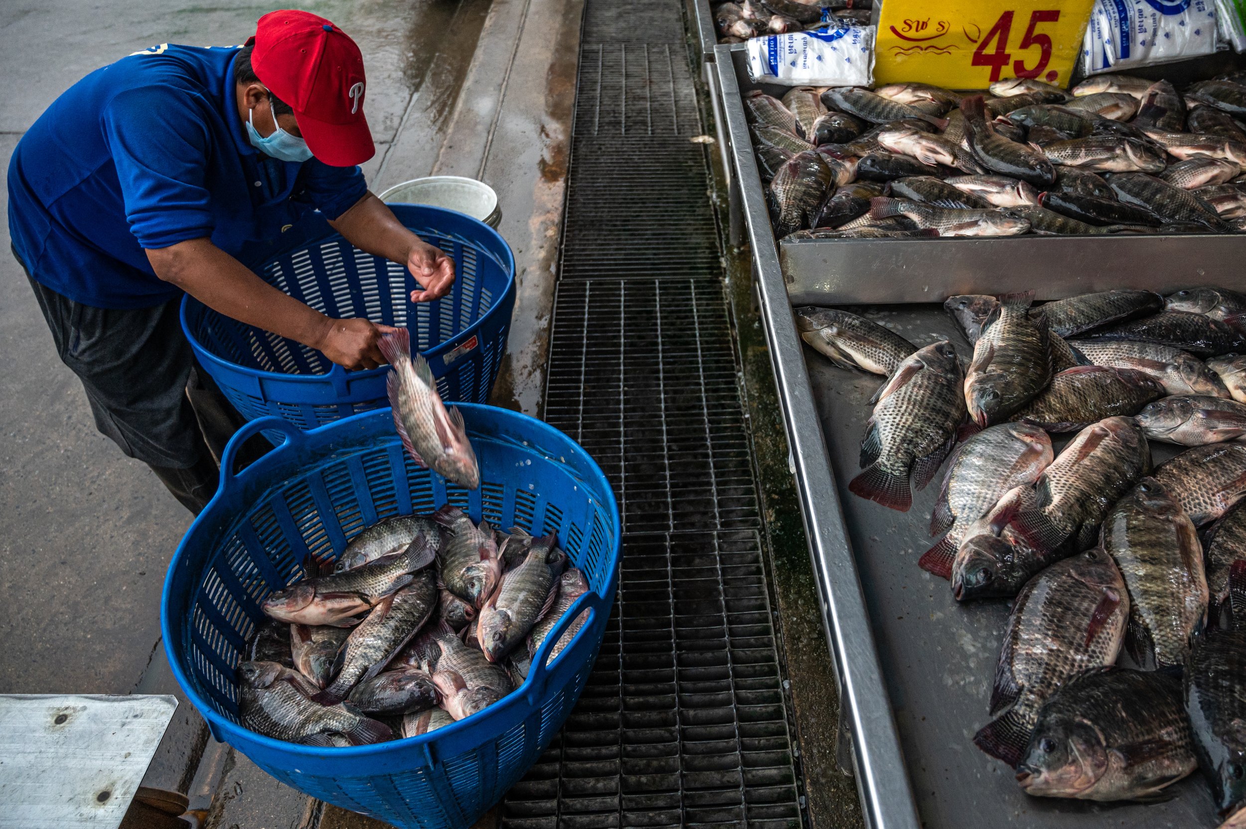 fish farm thailand-66.jpg