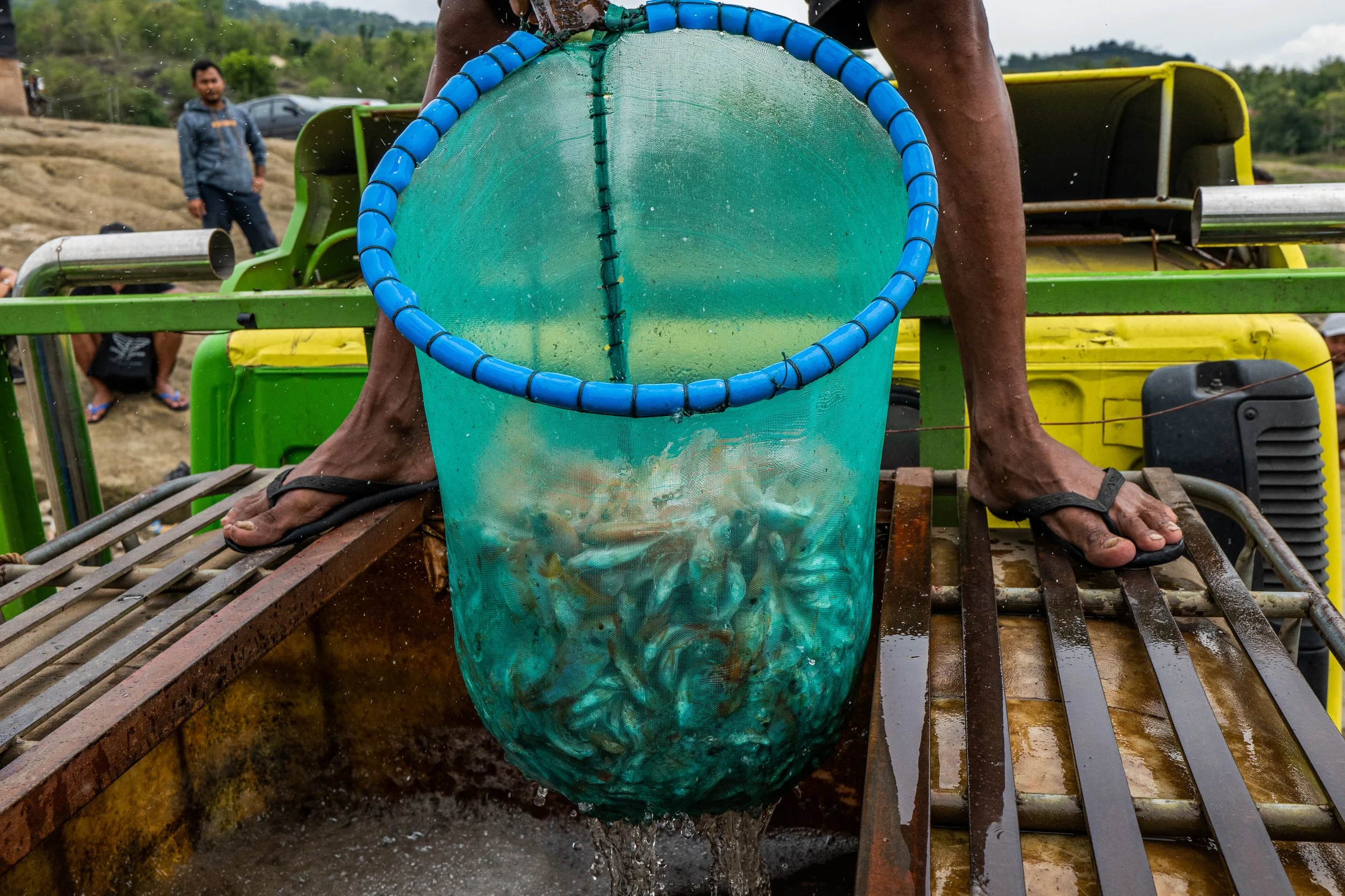 fish farm indonesia-51.jpg