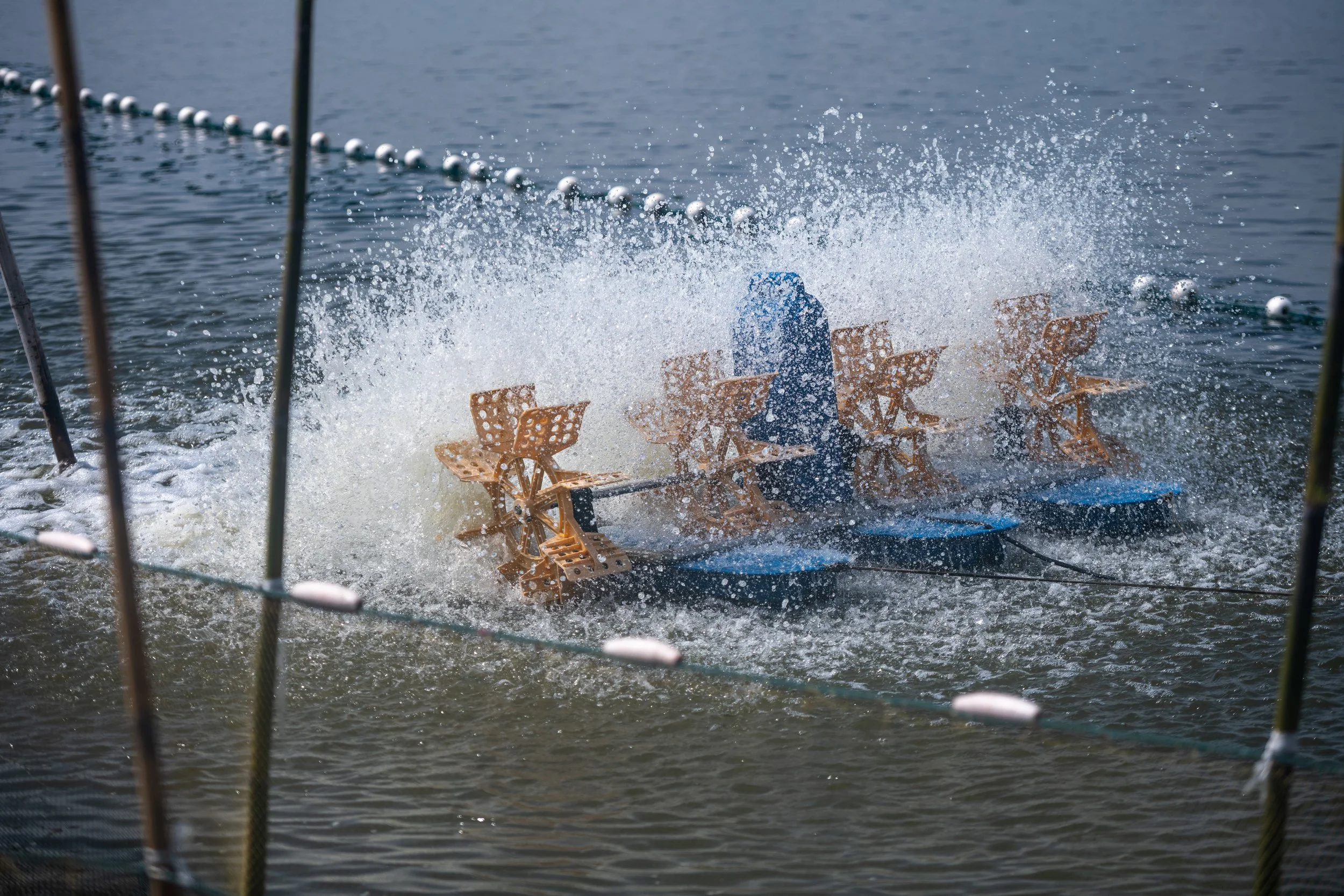 fish farm thailand-185.jpg