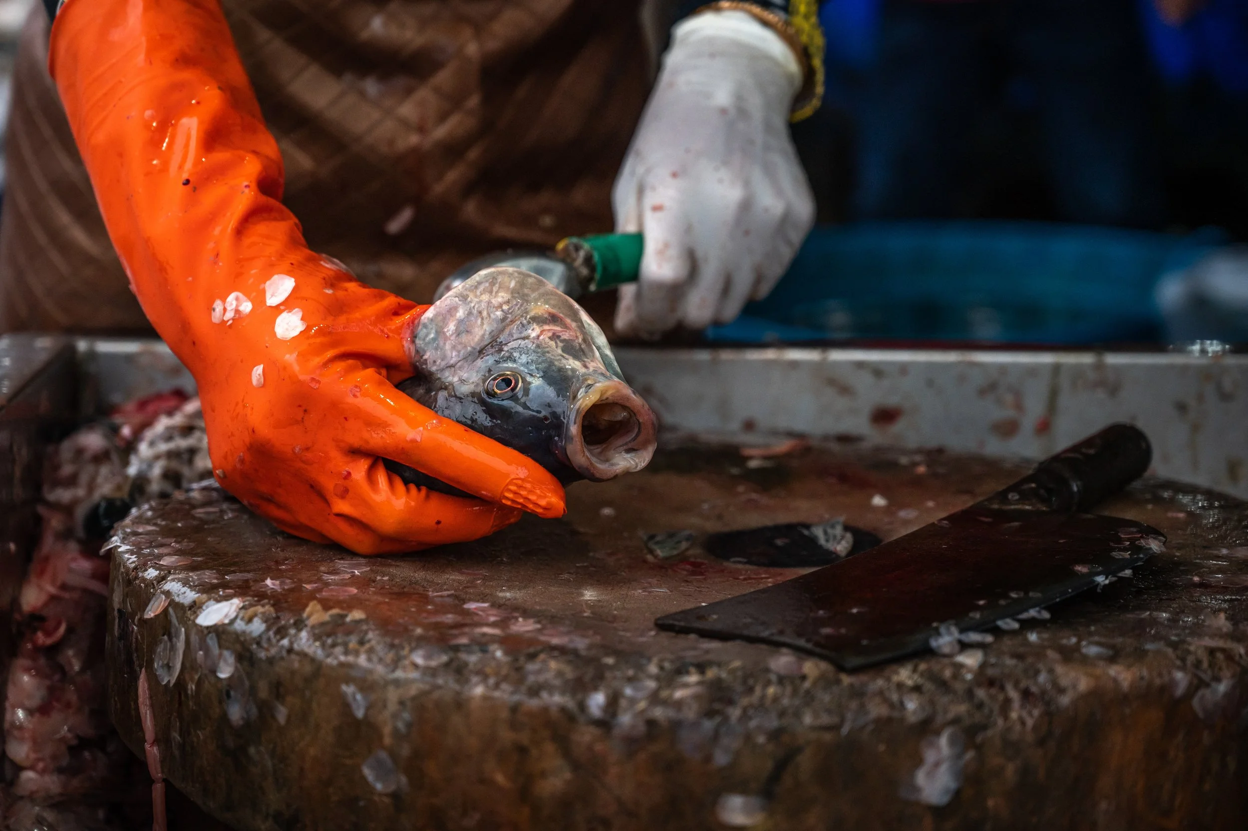 fish farm thailand-64.jpg