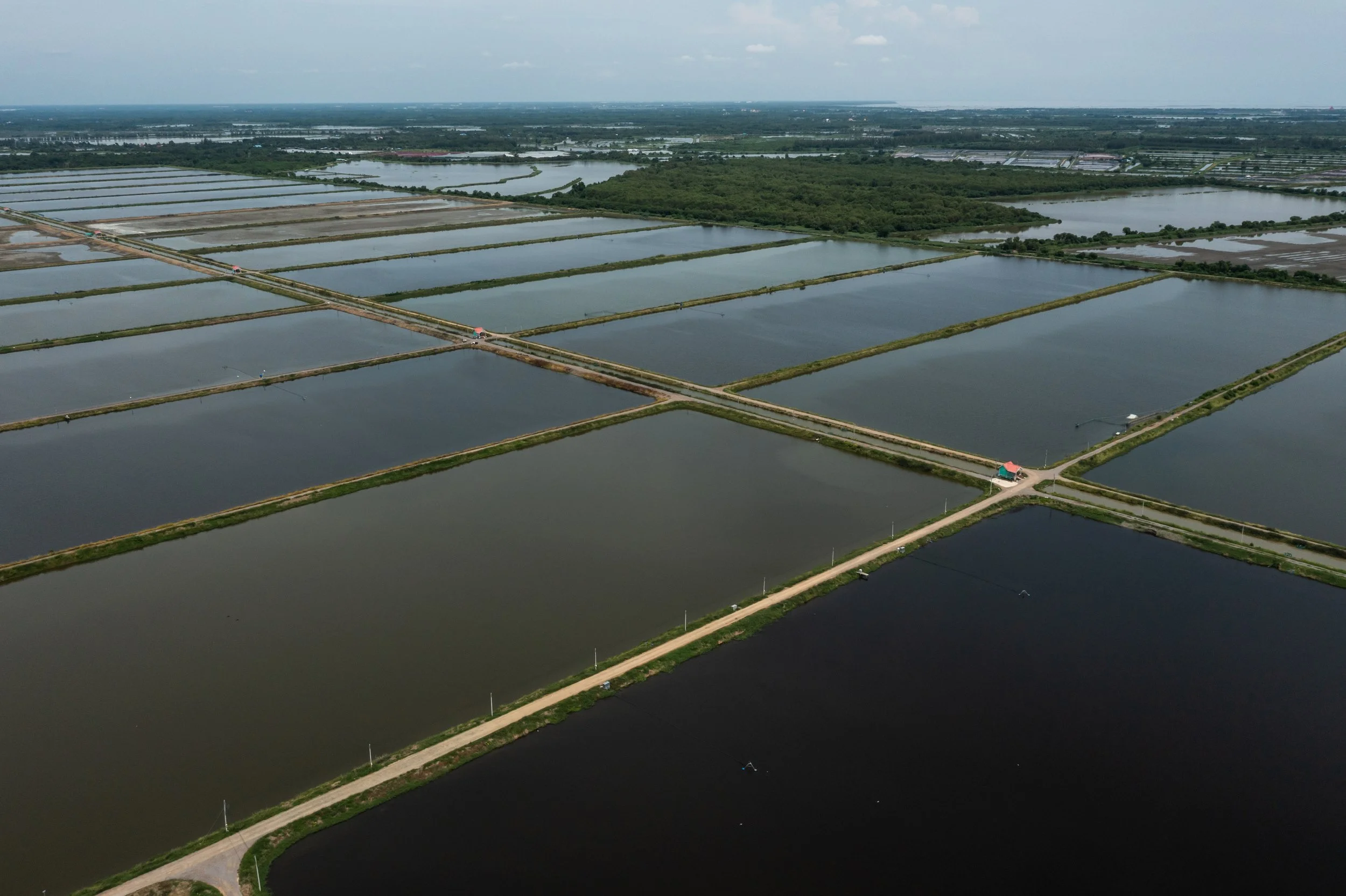 fish farm thailand-86.jpg