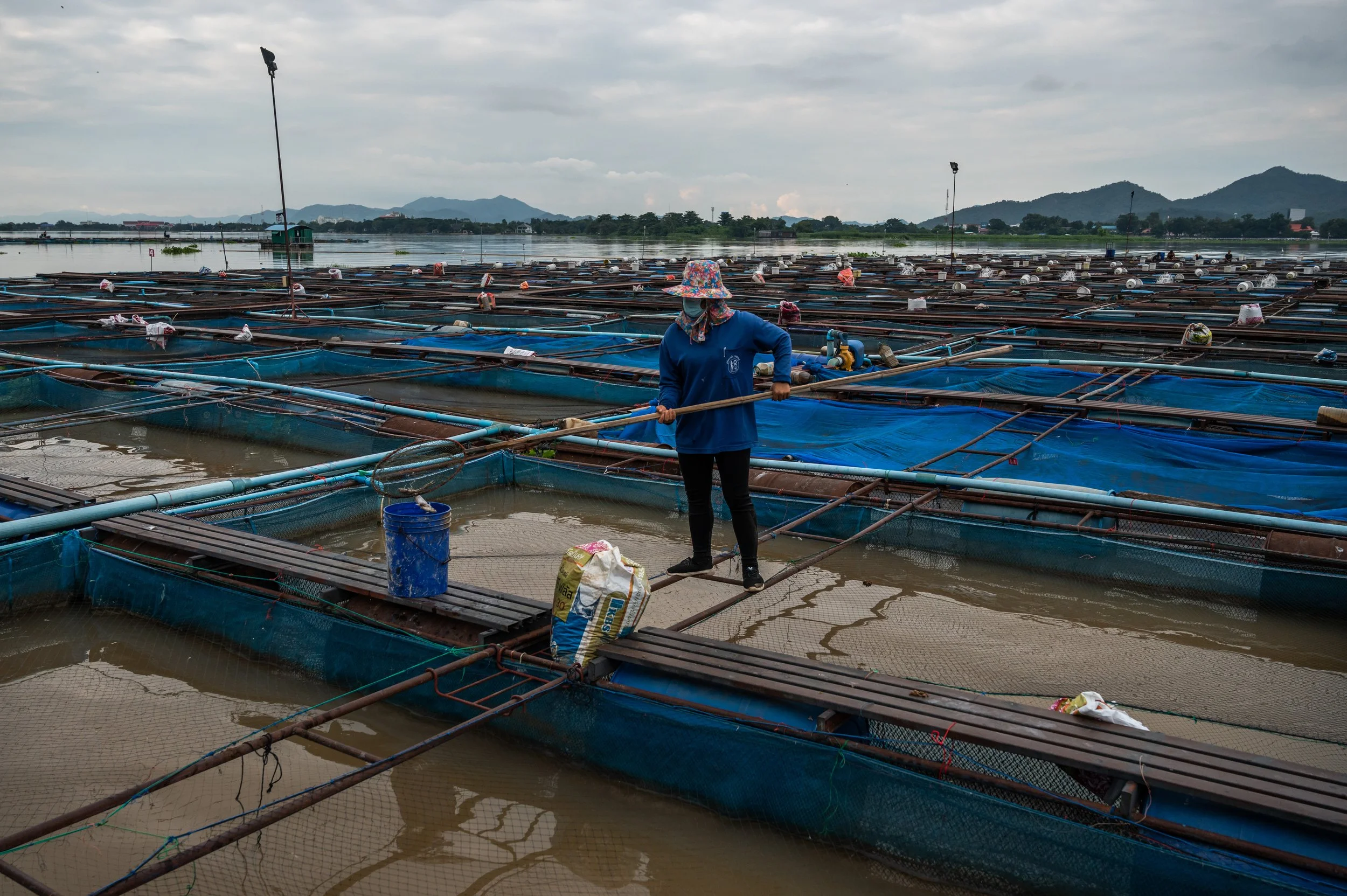 fish farm thailand-219.jpg