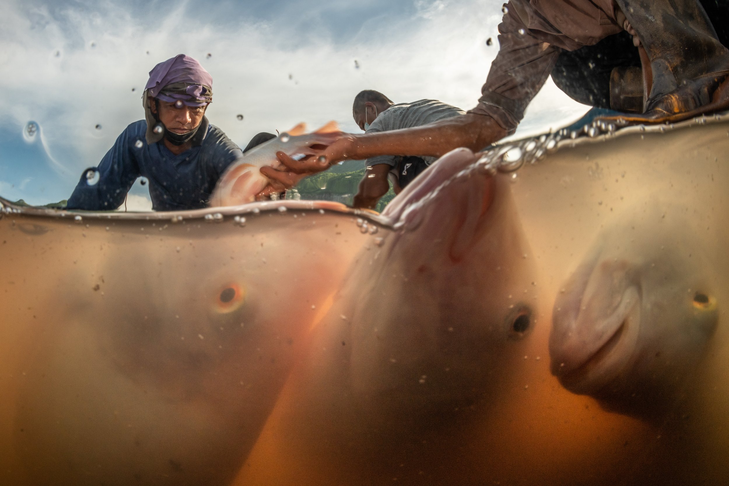 fish farm thailand-4.jpg