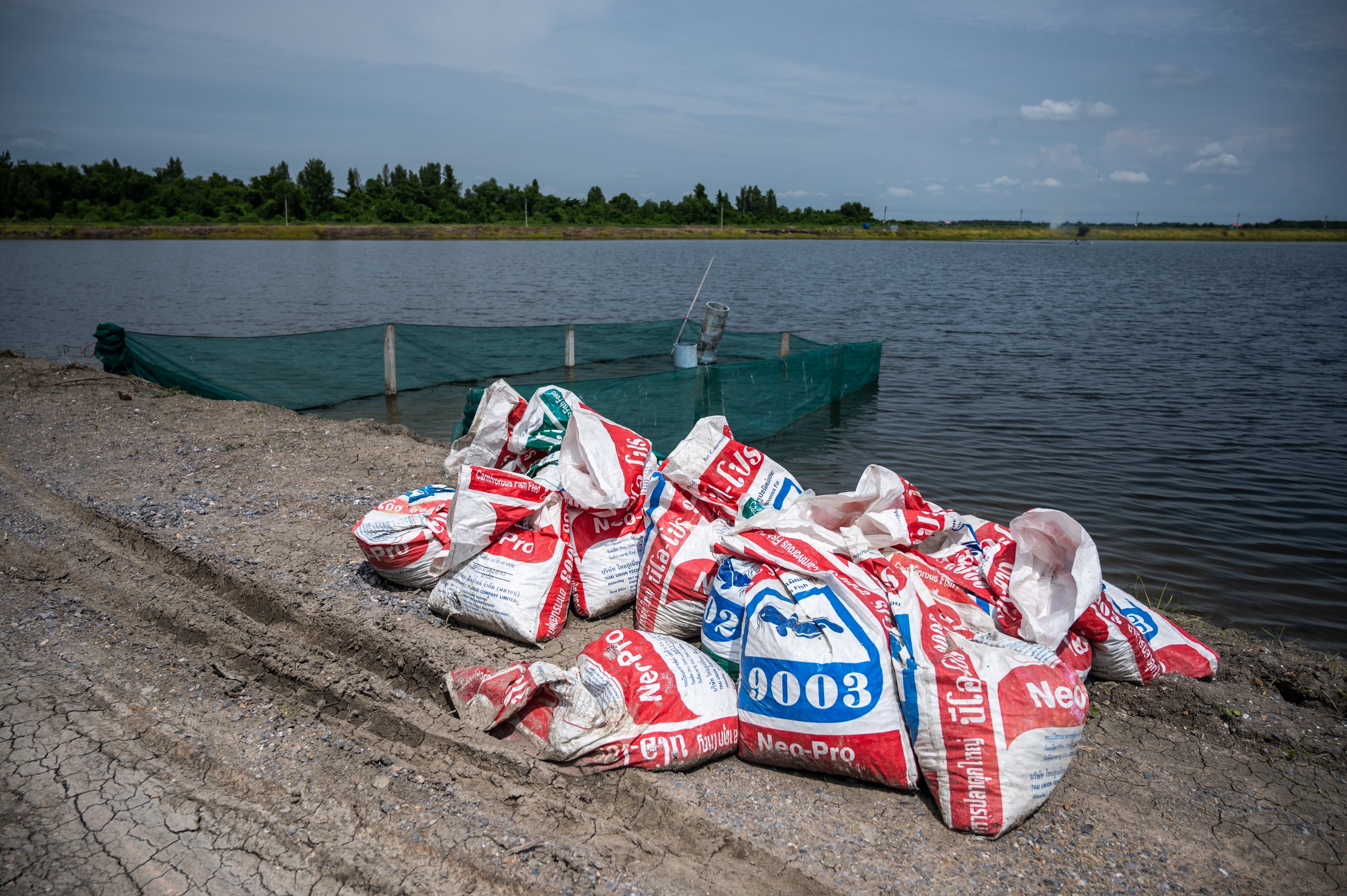 fish farm thailand-153.jpg