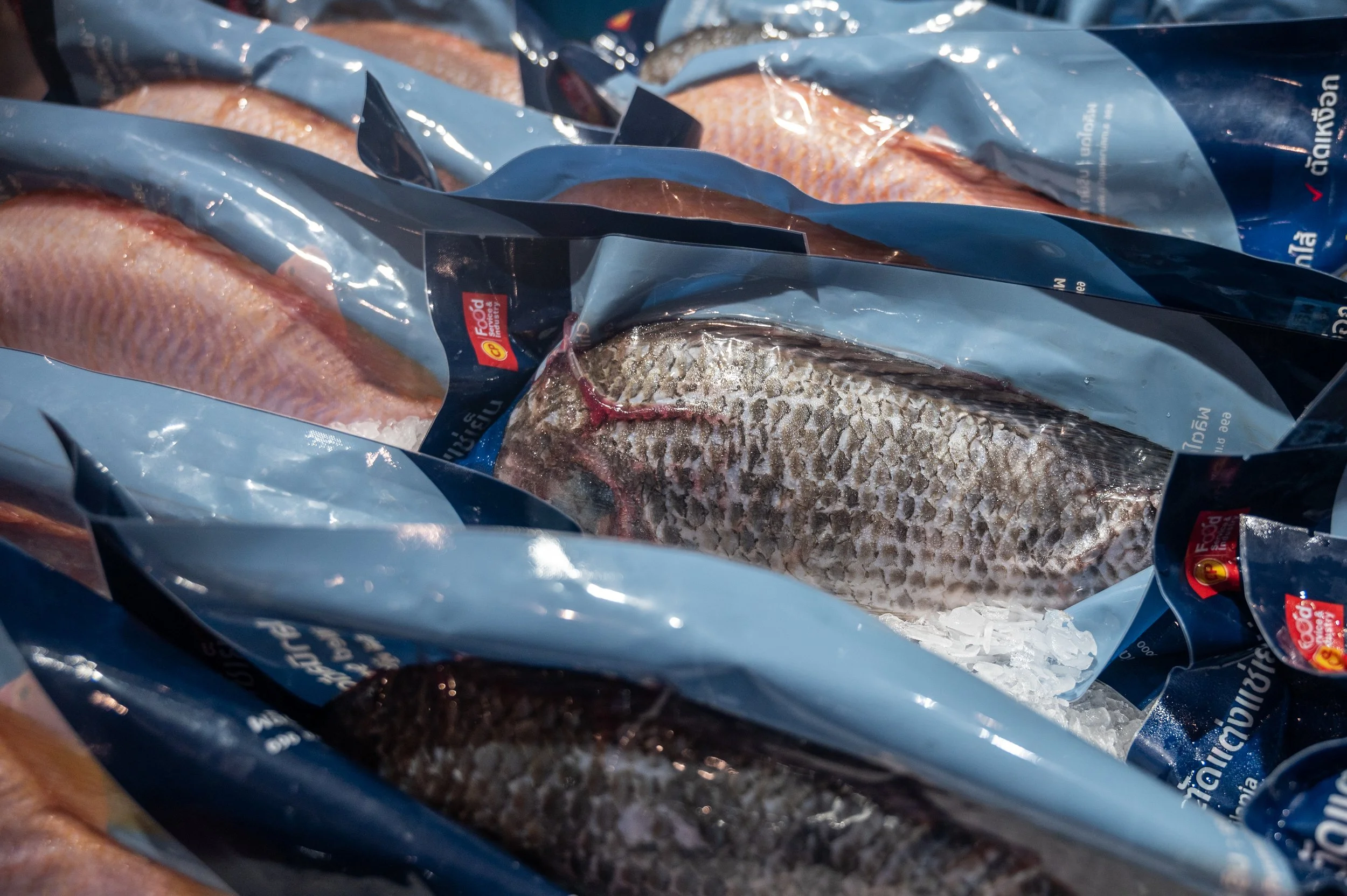 fish farm thailand-199.jpg