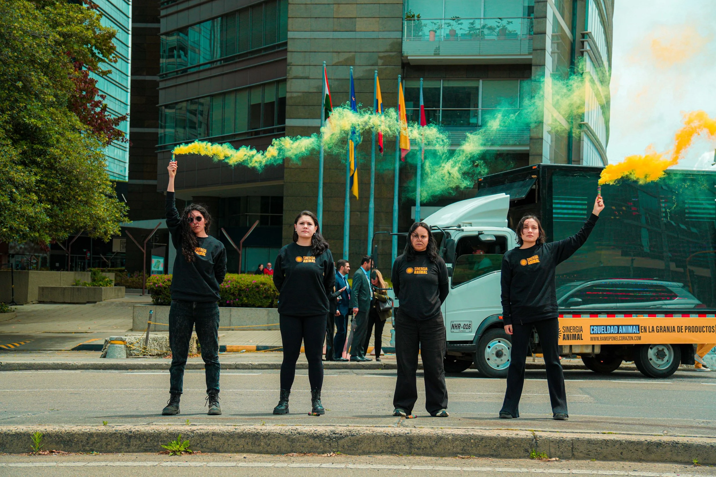 Fighting for Farmed Animals:&nbsp; How Campaigners Confront the System.