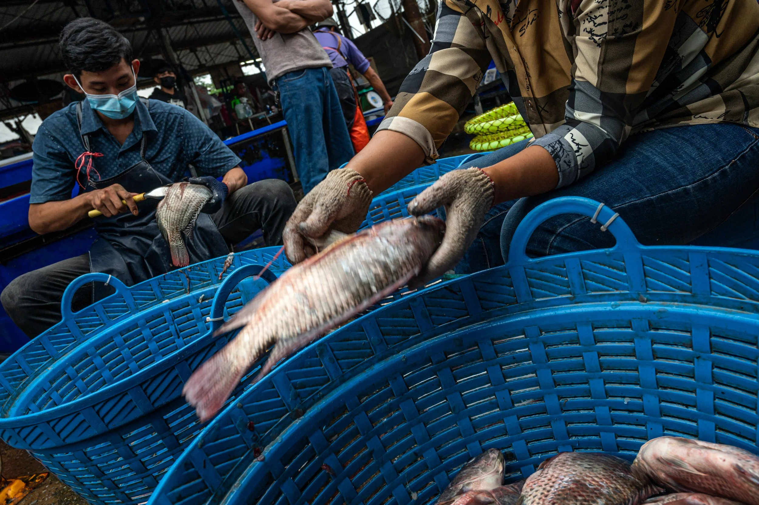 fish farm thailand-43.jpg