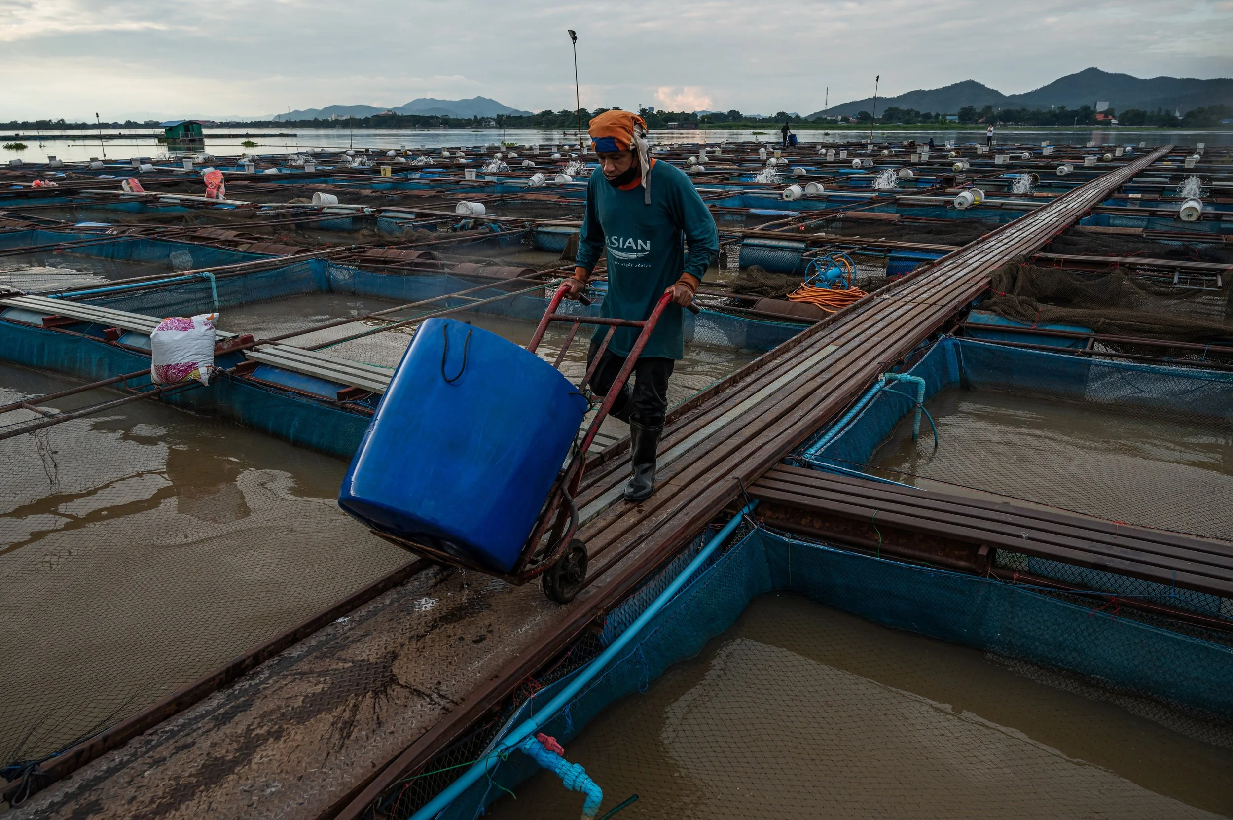 fish farm thailand-193.jpg