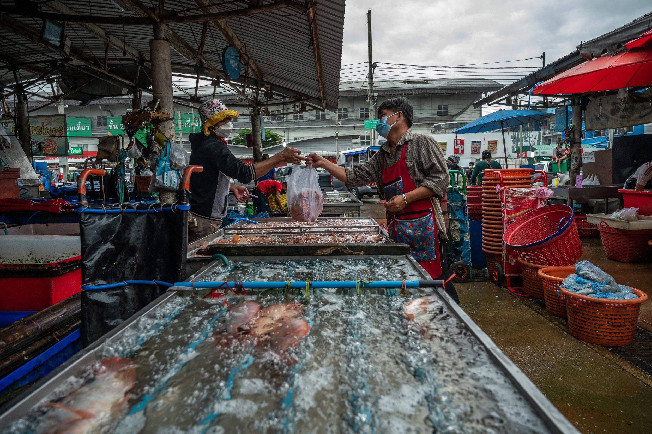 fish farm thailand-51.jpg