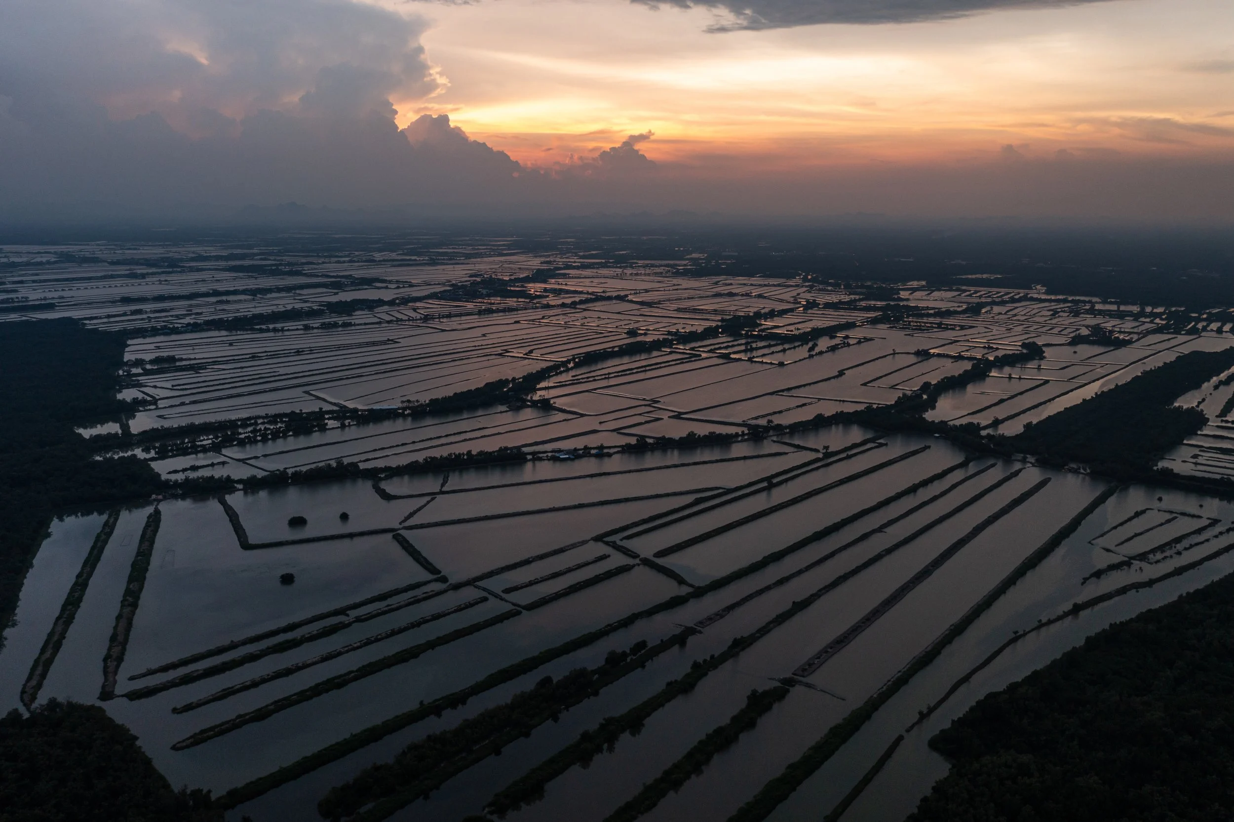 fish farm thailand-180.jpg