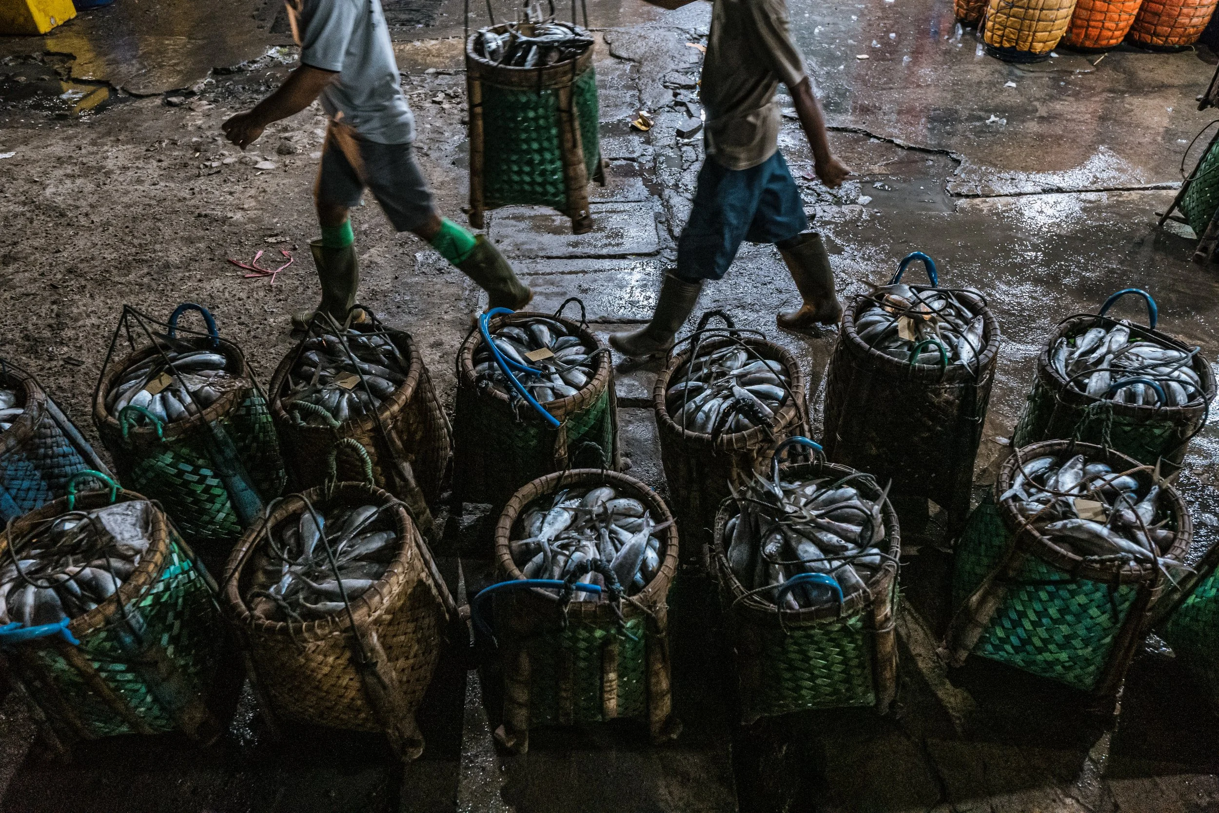 fish farm indonesia-26.jpg