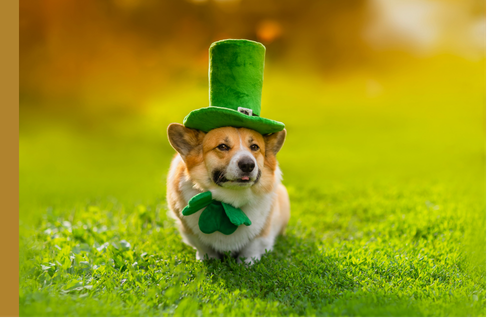 The Curse of the Great Saver: Why Retirement Income Planning Gets More Complicated