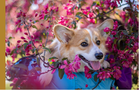 Will Social Security Still Be There? What Washington Debates Mean for Your Retirement Plan