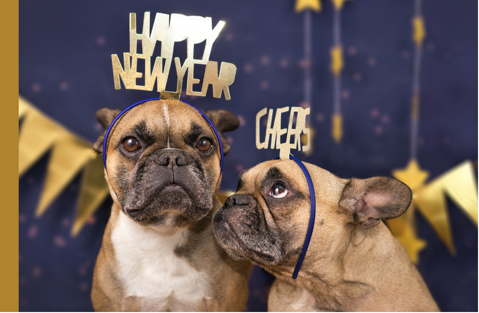 When the Rules Change, Good Planning Starts with Better Questions