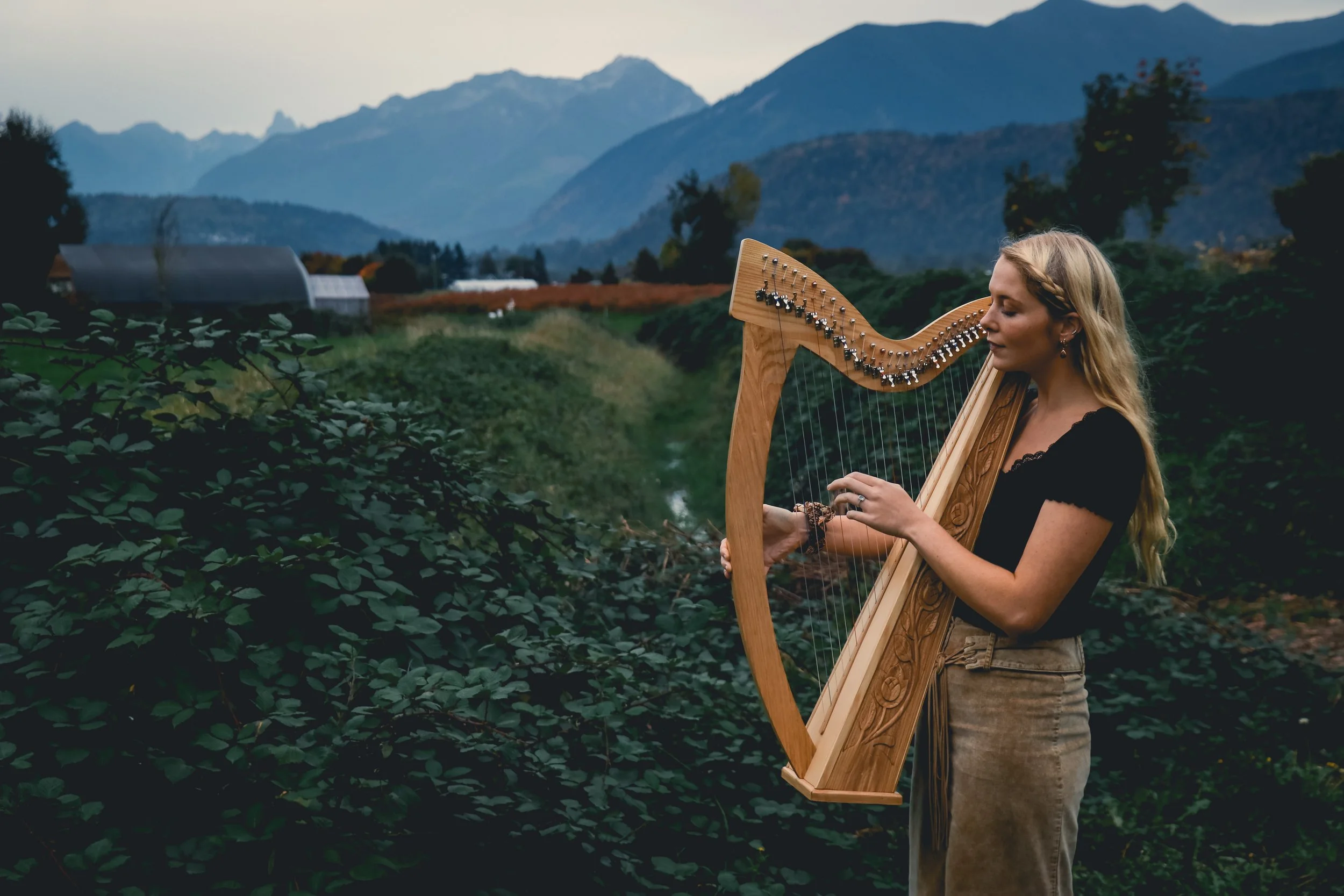 Our Story — wisdomharps.com