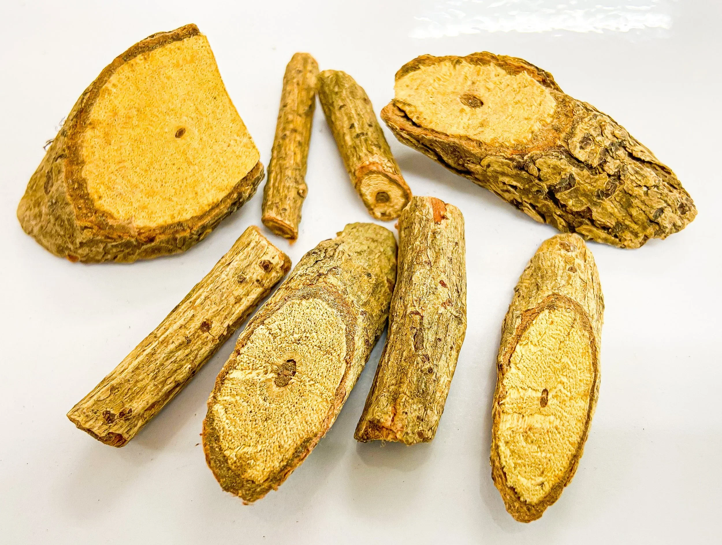 Cryptolepis (Cryptolepis sanguinolenta) 