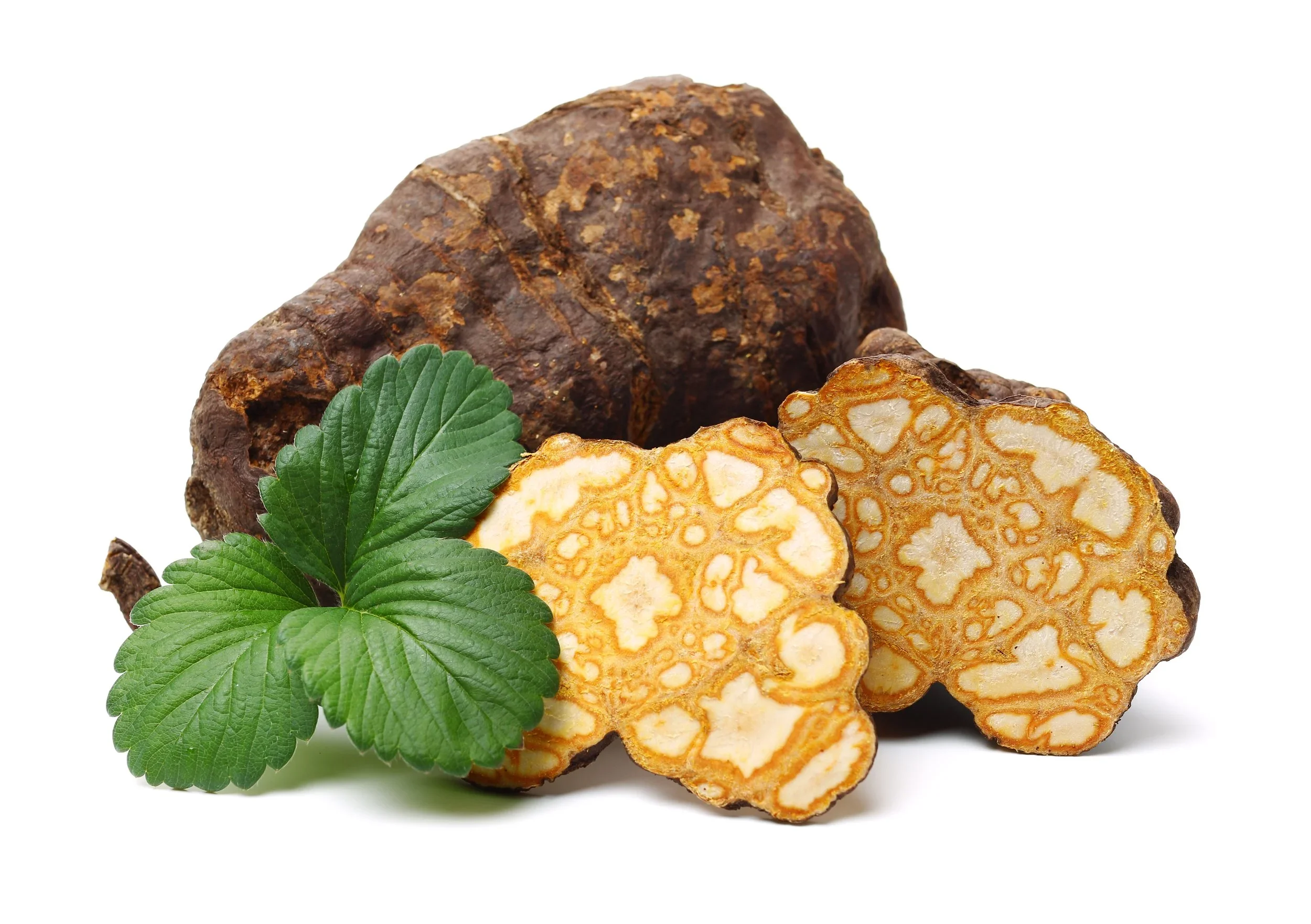 He Shou Wu (Polygon um multiflorum)- aKA Foti. 