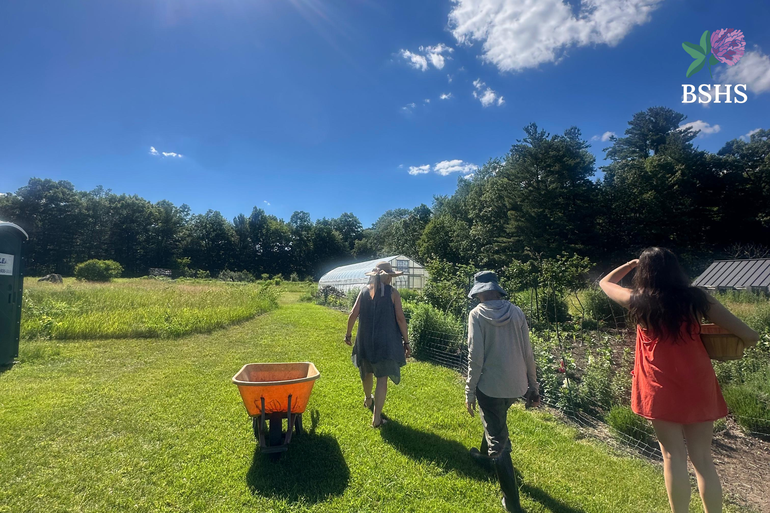 Notes from the Farm: Part Three