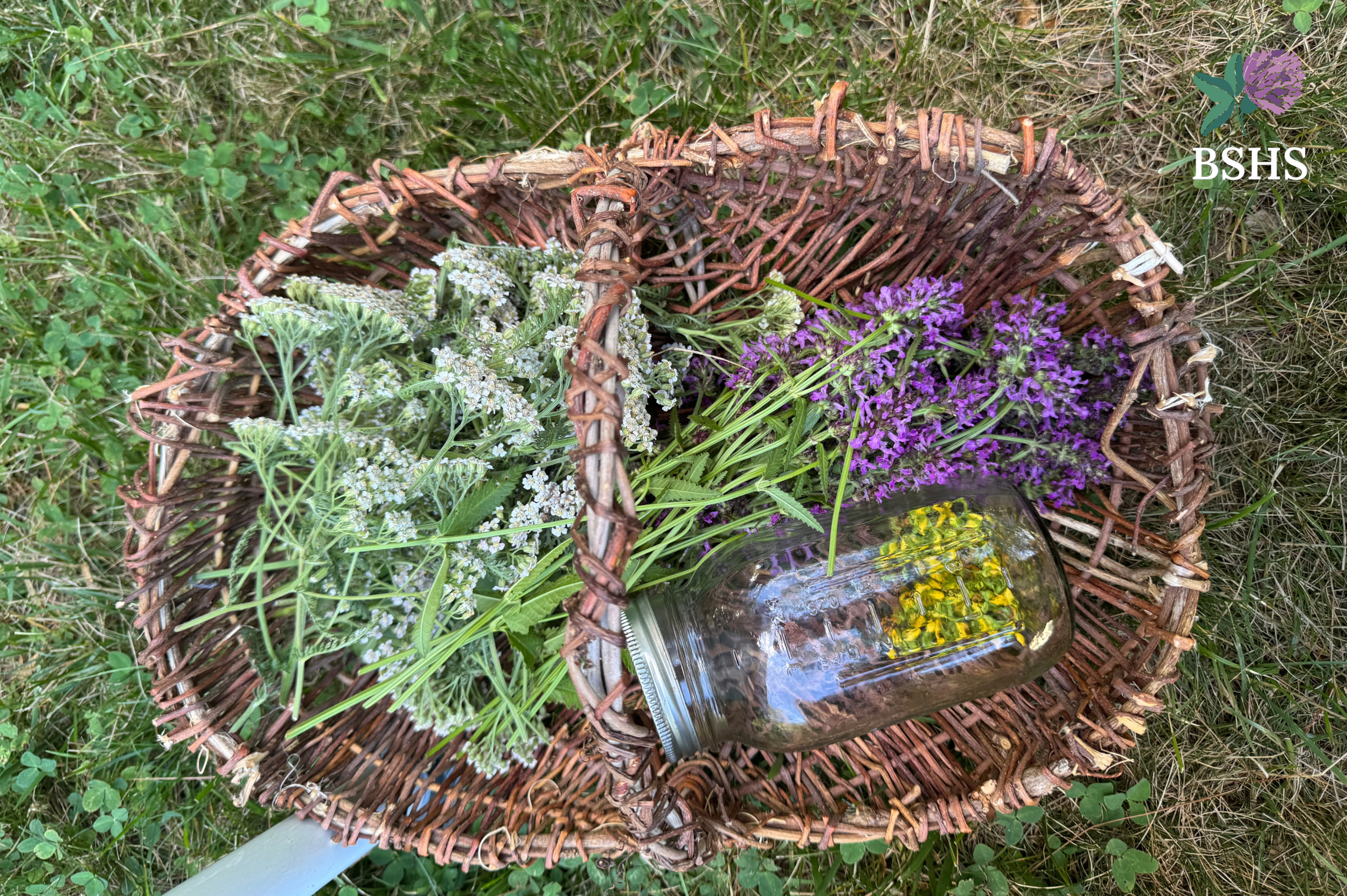 Notes from the Farm: Part Four