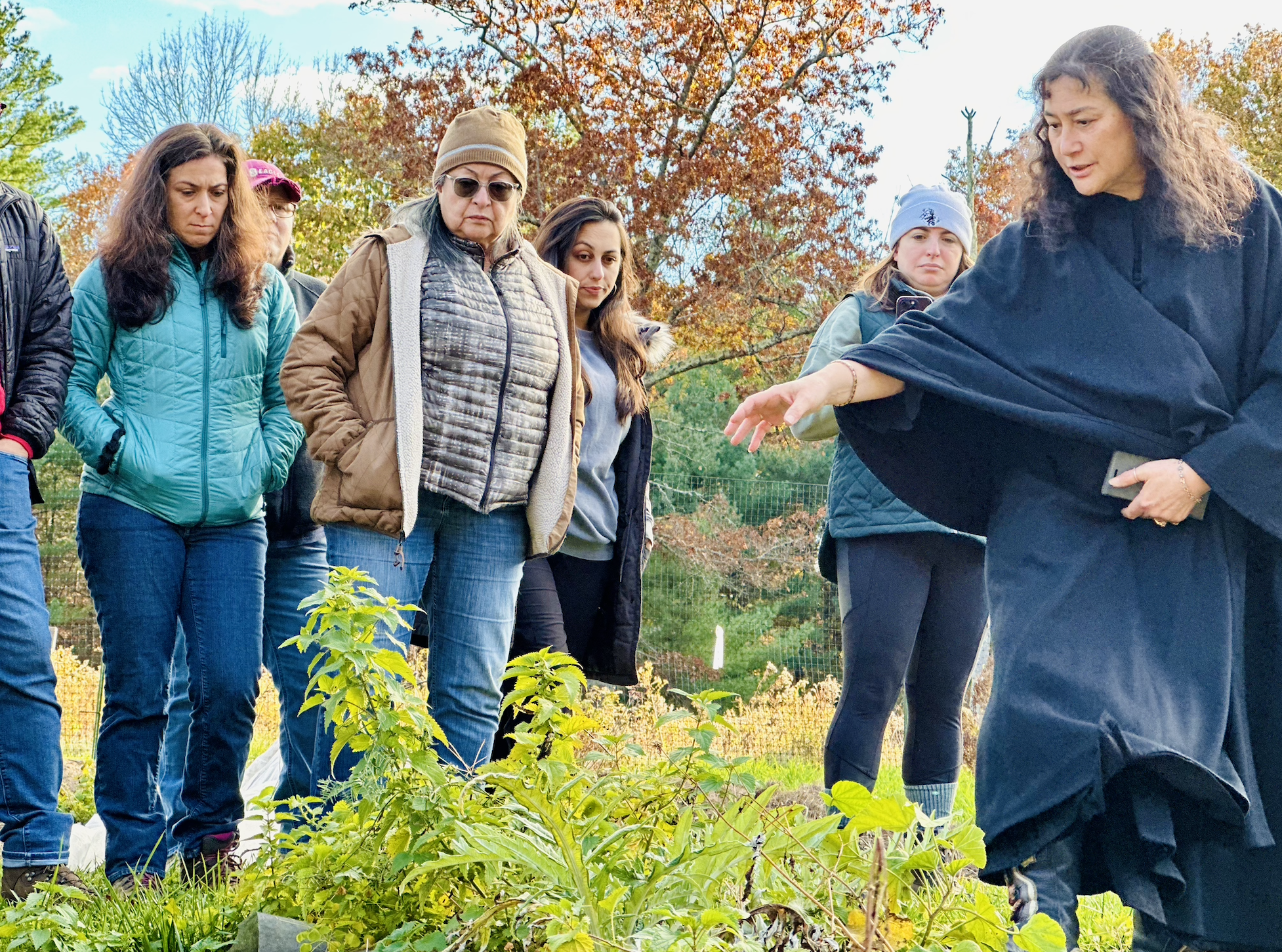 Medicinal Plant Walks