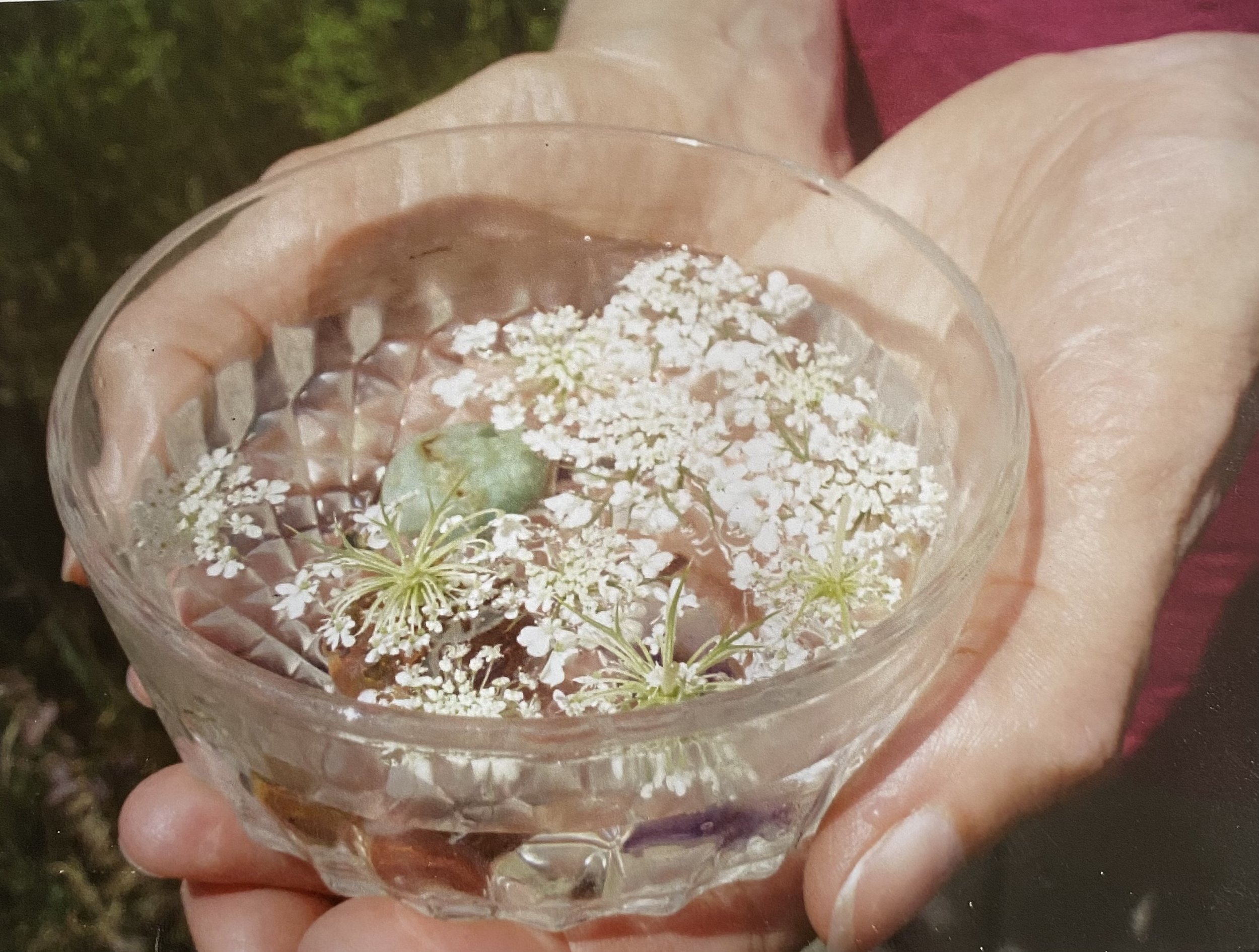 FLOWER ESSENCE PHOTO.JPG