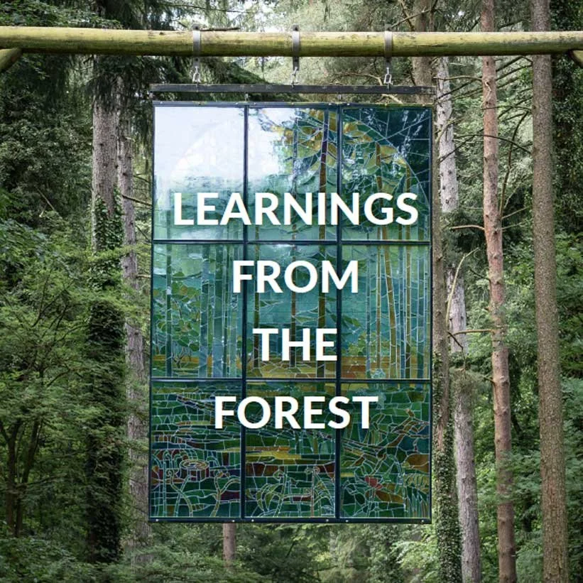 LEARNINGS FROM THE FOREST