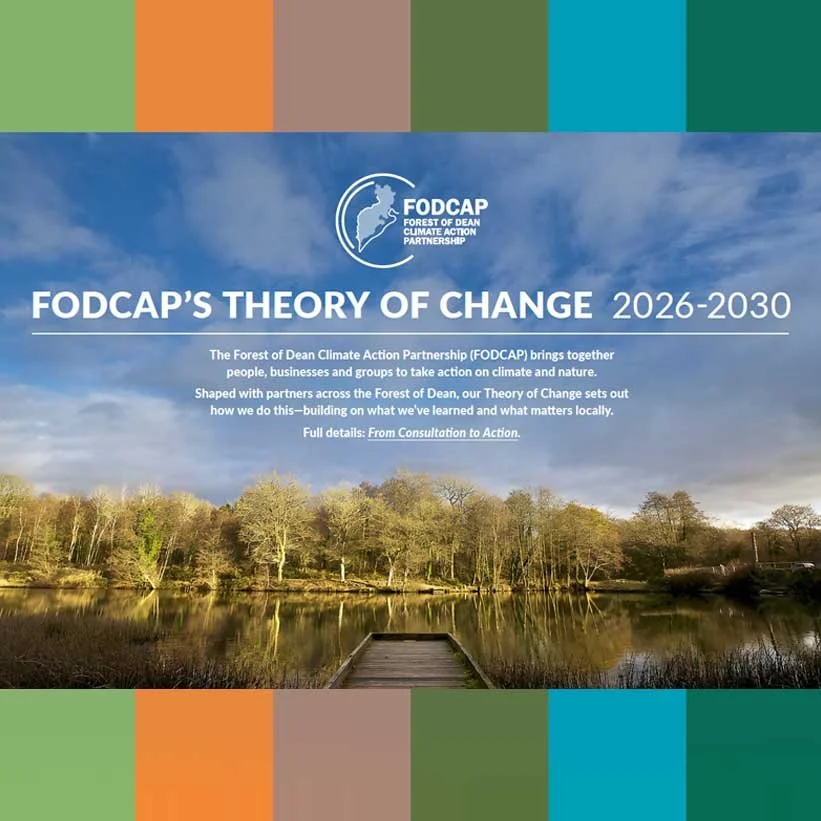 FODCAP’S THEORY OF CHANGE 2026-2030