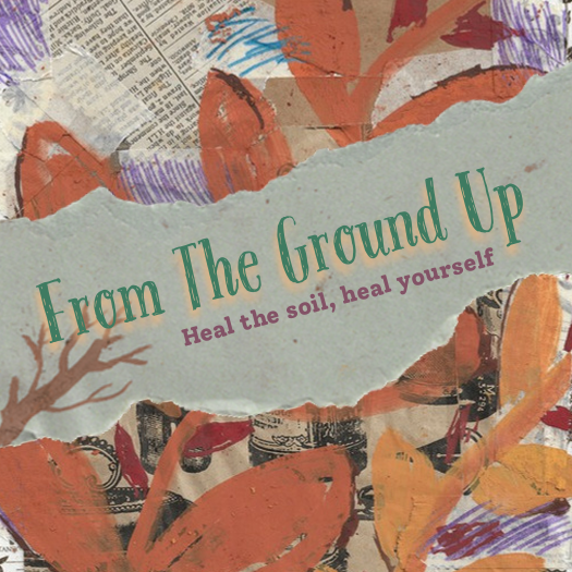 ‘from the ground up’ zine