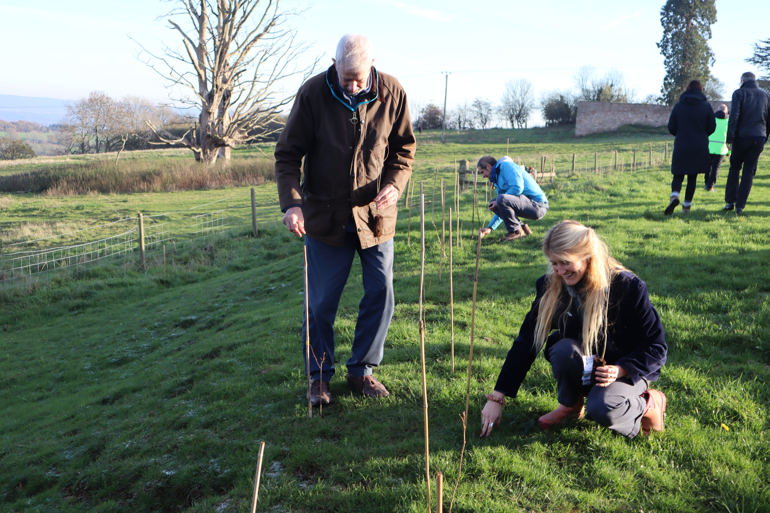 community tree and hedgerow workshop 12/11/26