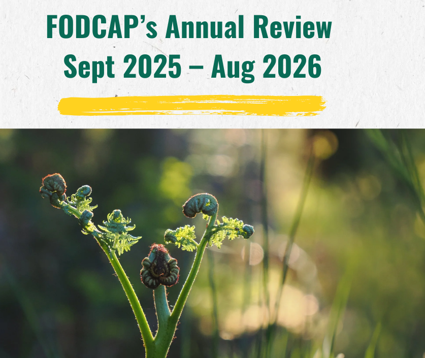 ANNUAL REVIEW 2025-’26