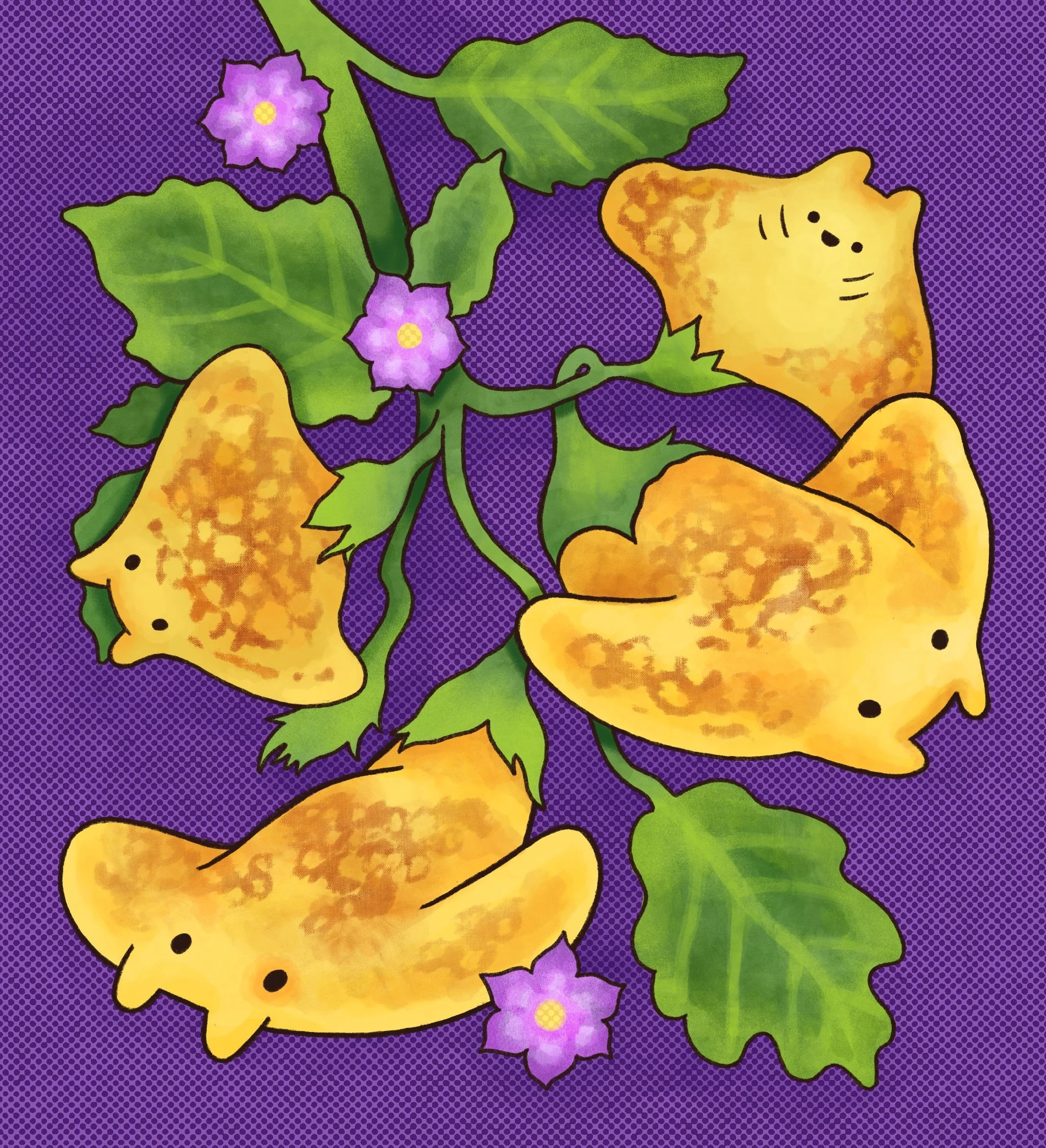Manta_Eggplanta.jpg
