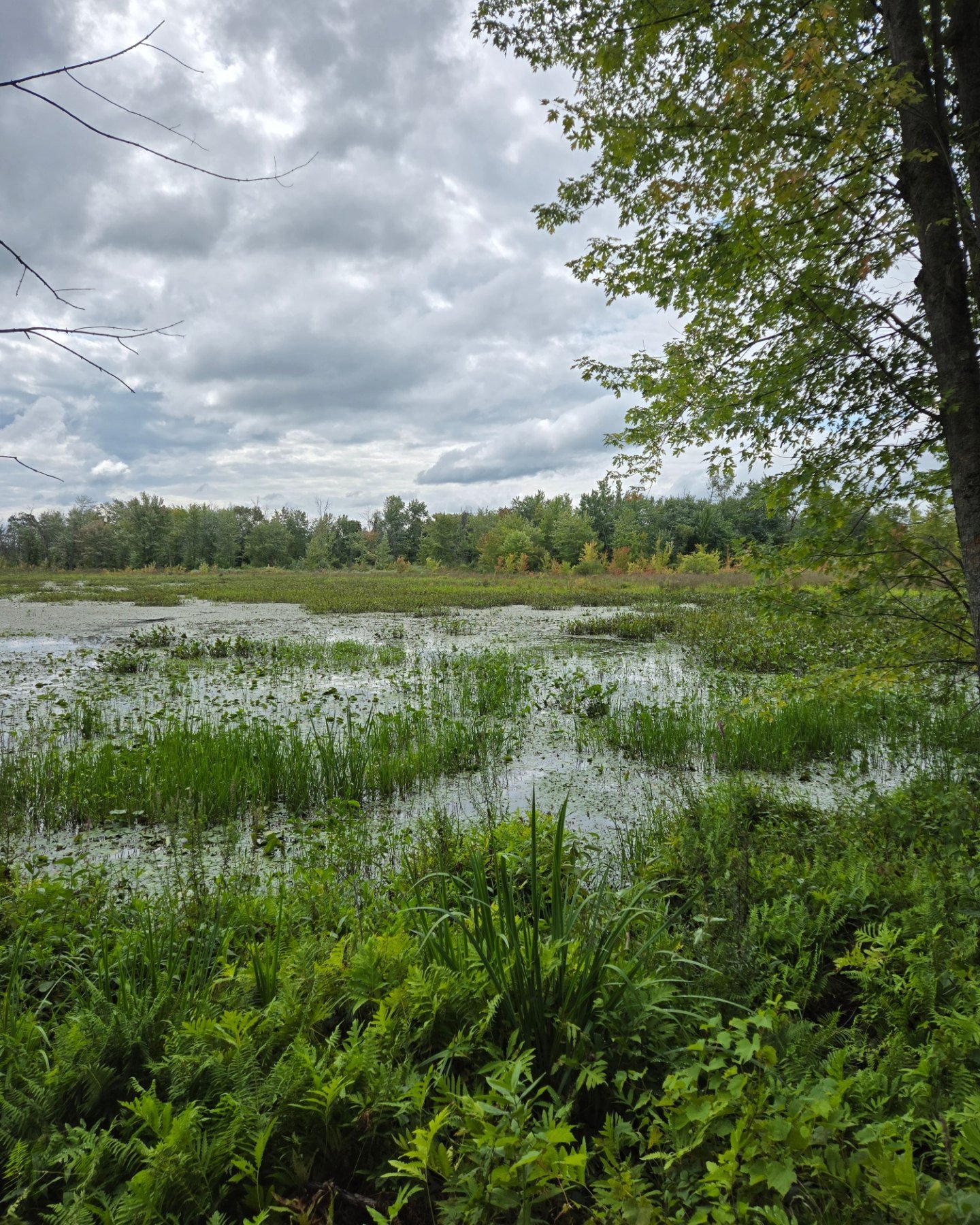 📌Prochaine et derni&egrave;re marche : Parc National de Plaisance.

➡ Endroit: SEPAQ, Centre de d&eacute;couverte et de services. 
➡ Adresse: 1001, Chemin des Presqu'&icirc;les, Plaisance, QC J0V 1S0
➡ Payez l'acc&egrave;s quotidien en ligne de la S