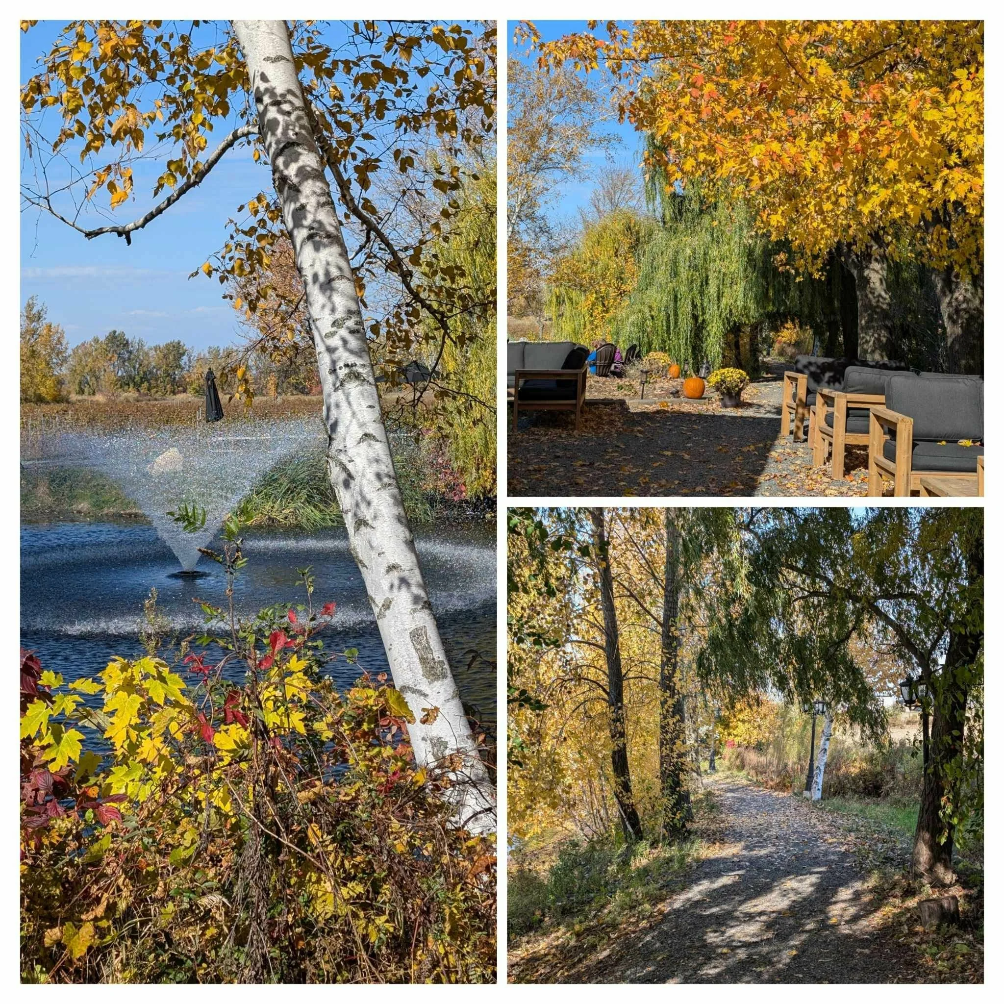 Marche contemplative, Boucherville/Varennes