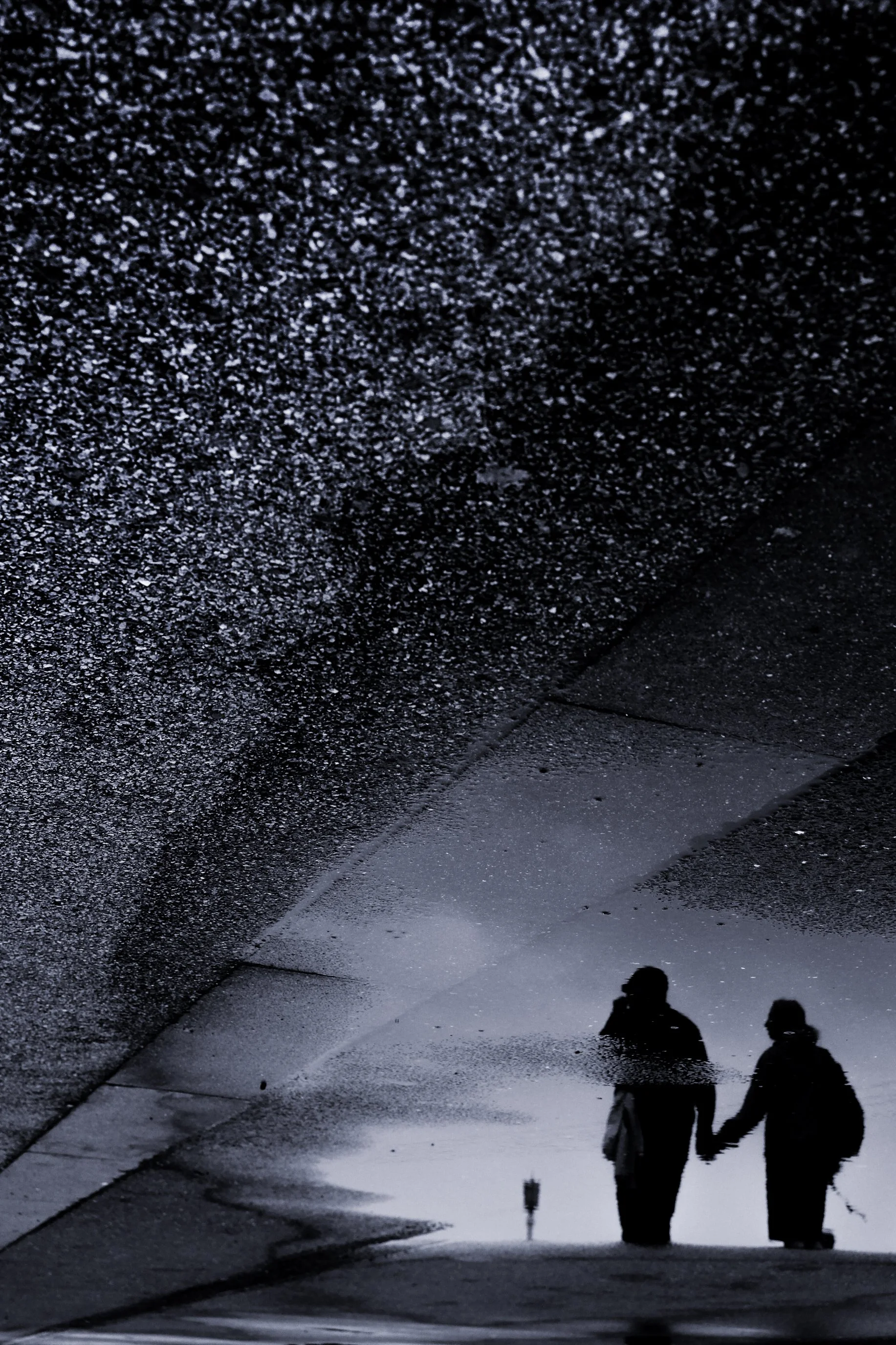 DSCF6650.jpg