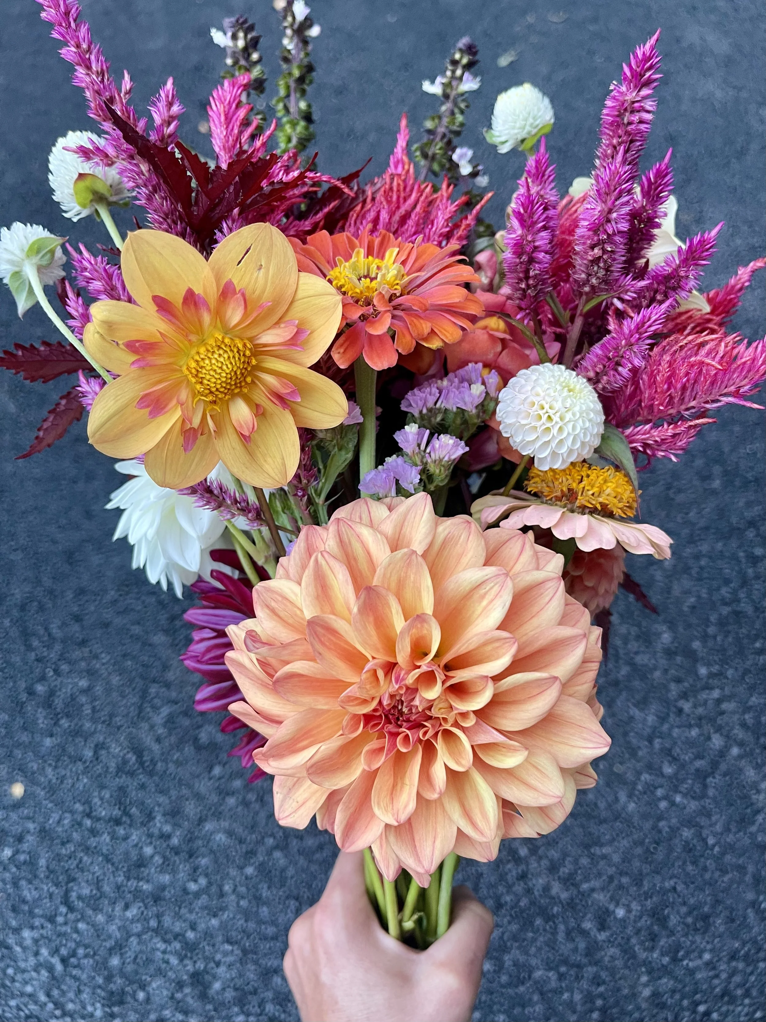 2026 Summer Bloom CSA Local Flower Subscription